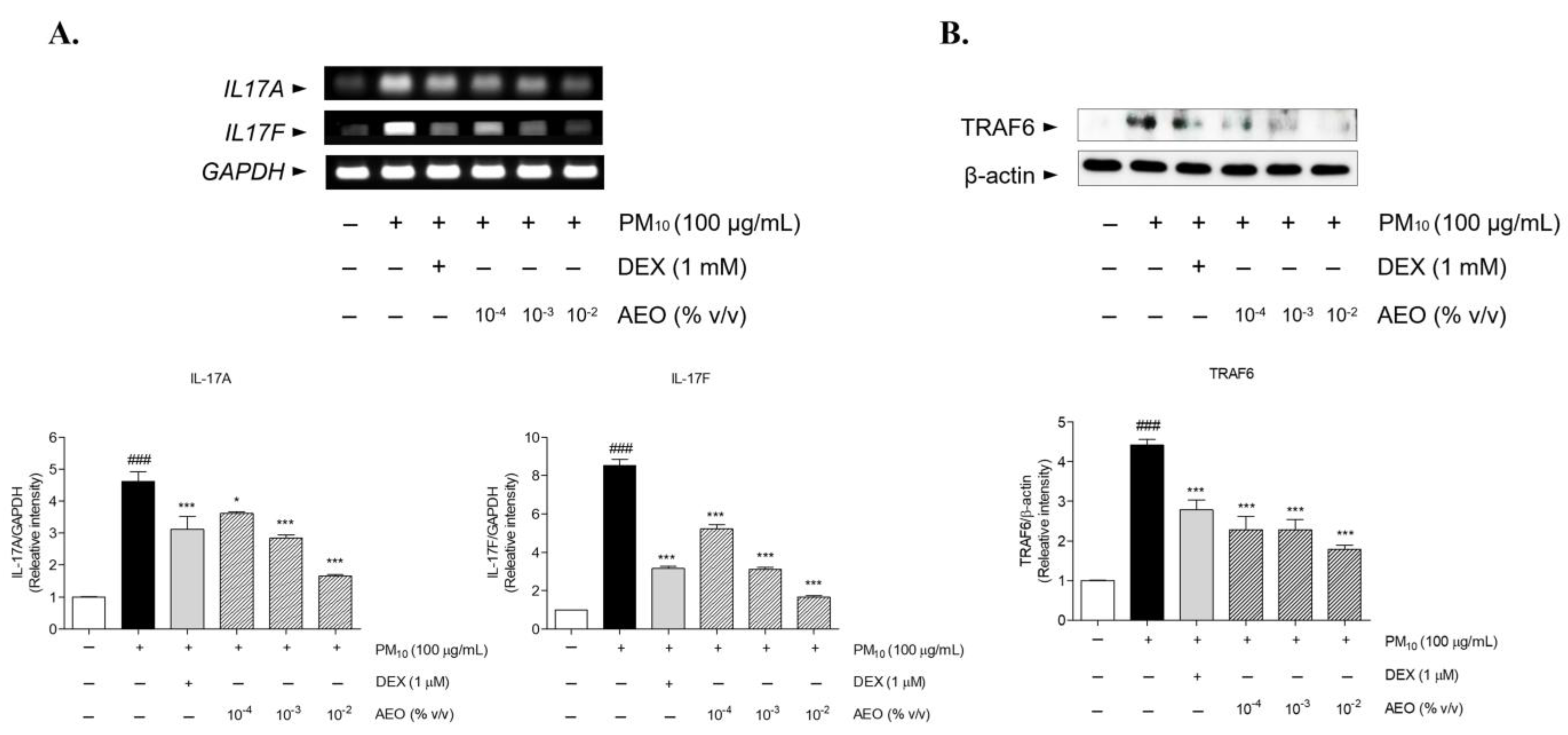 Pharmaceutics 15 01195 g006 Pharmaceutics 15 01195 g006