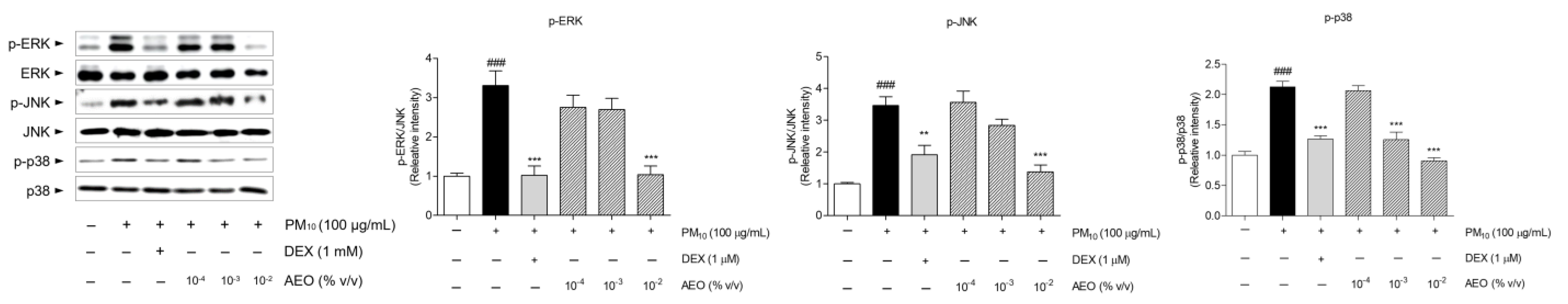 Pharmaceutics 15 01195 g007 Pharmaceutics 15 01195 g007