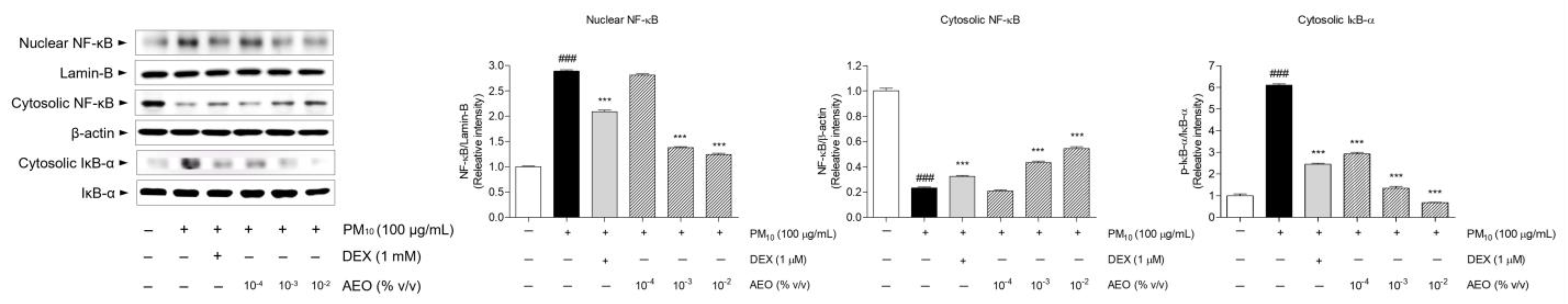 Pharmaceutics 15 01195 g008 Pharmaceutics 15 01195 g008