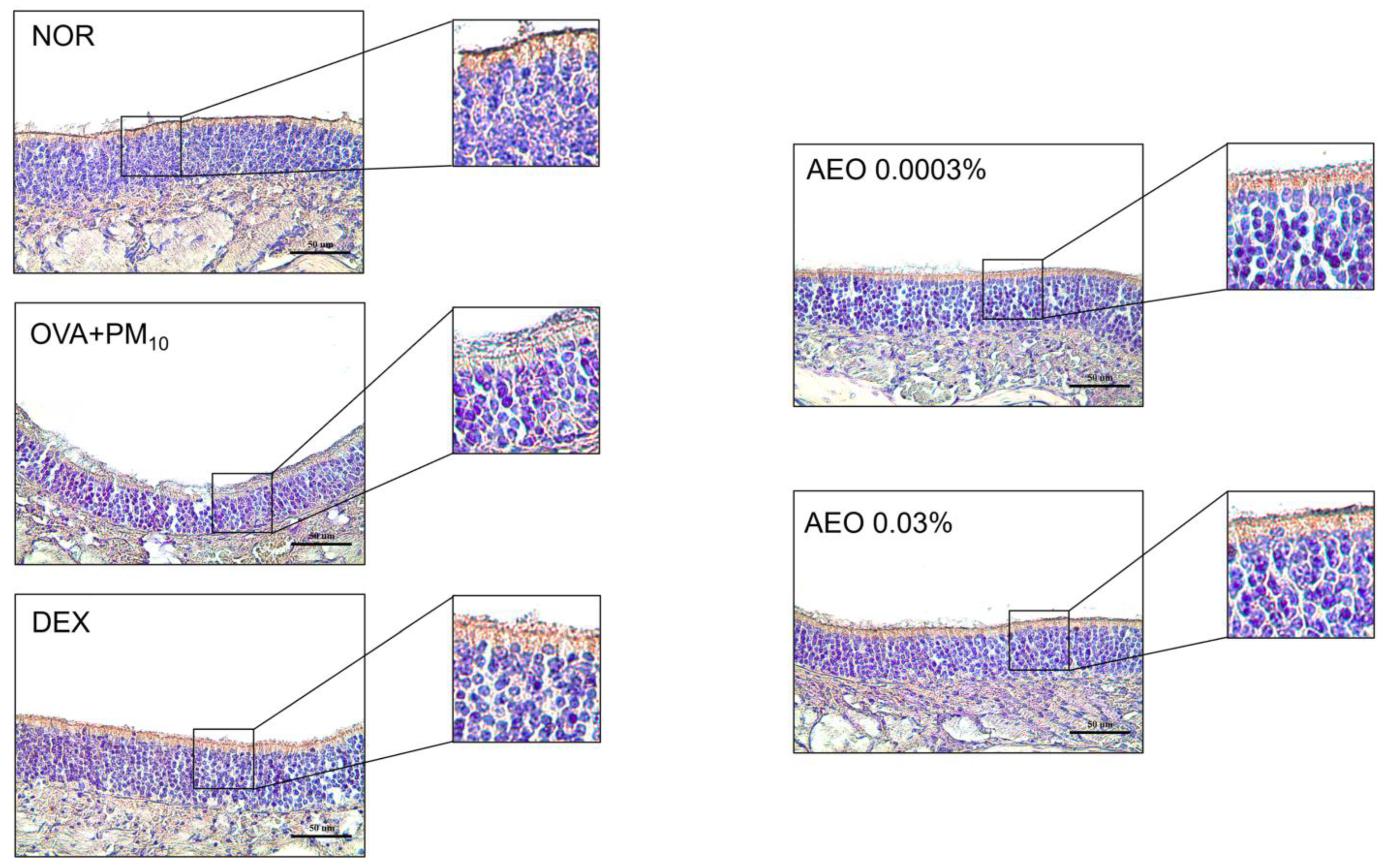 Pharmaceutics 15 01195 g009 Pharmaceutics 15 01195 g009