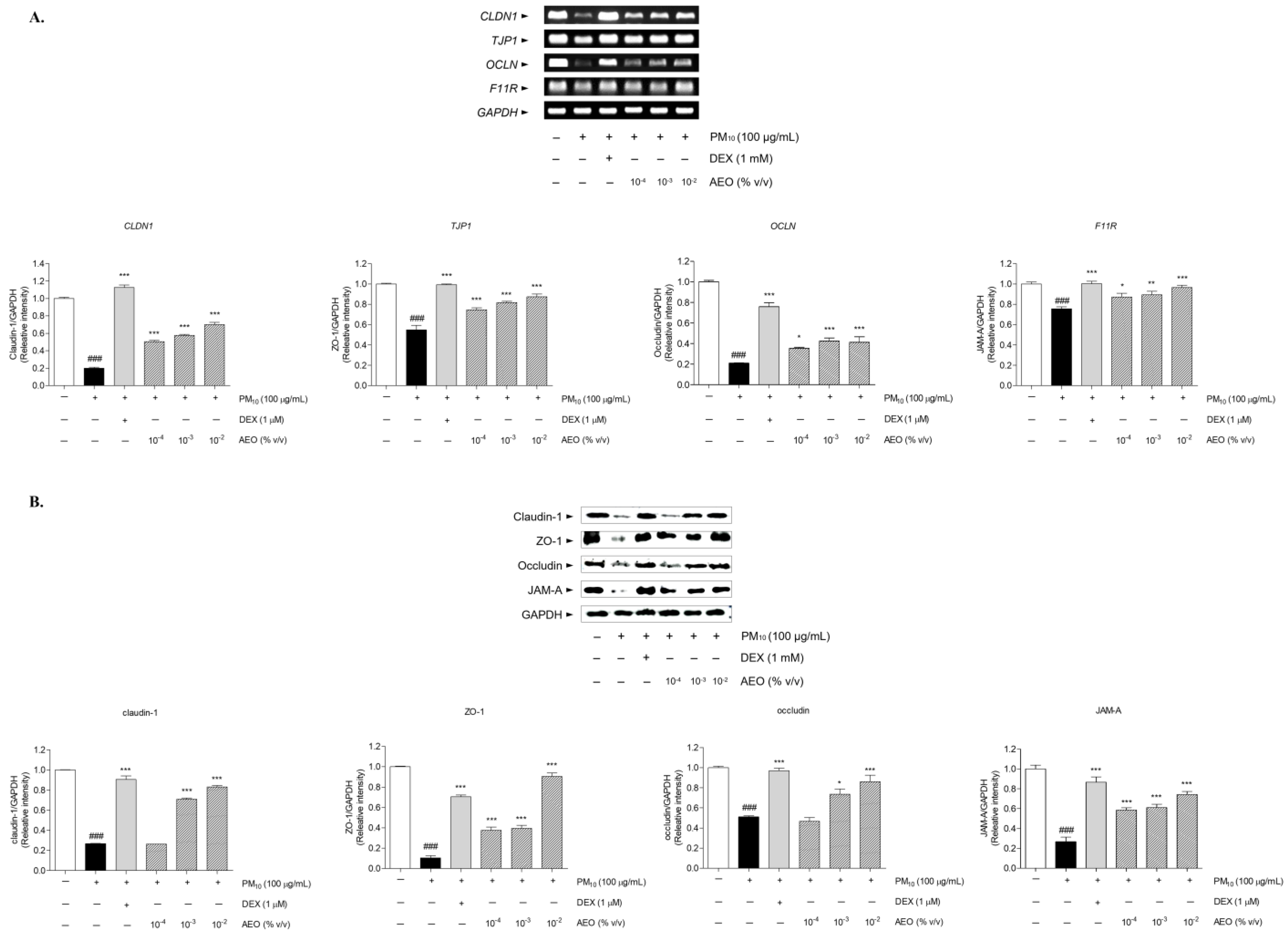 Pharmaceutics 15 01195 g010 Pharmaceutics 15 01195 g010