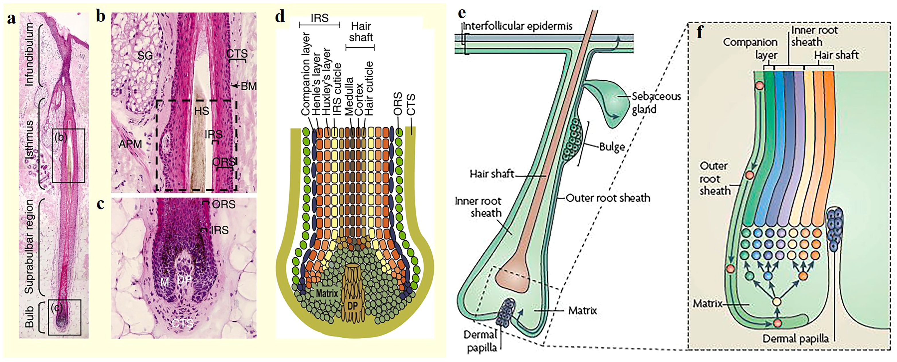Pharmaceutics 15 01201 g001 Pharmaceutics 15 01201 g001