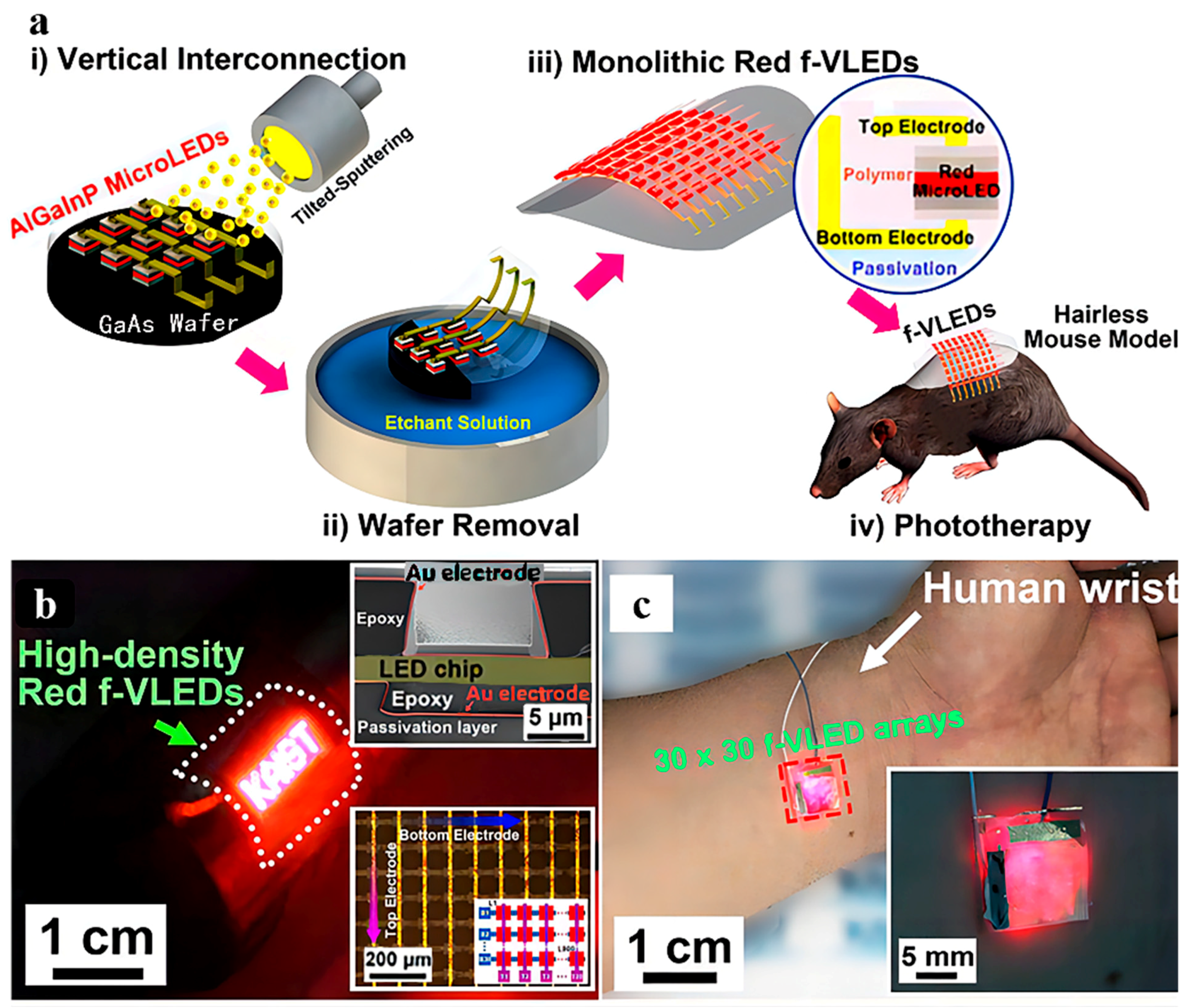 Pharmaceutics 15 01201 g002 Pharmaceutics 15 01201 g002