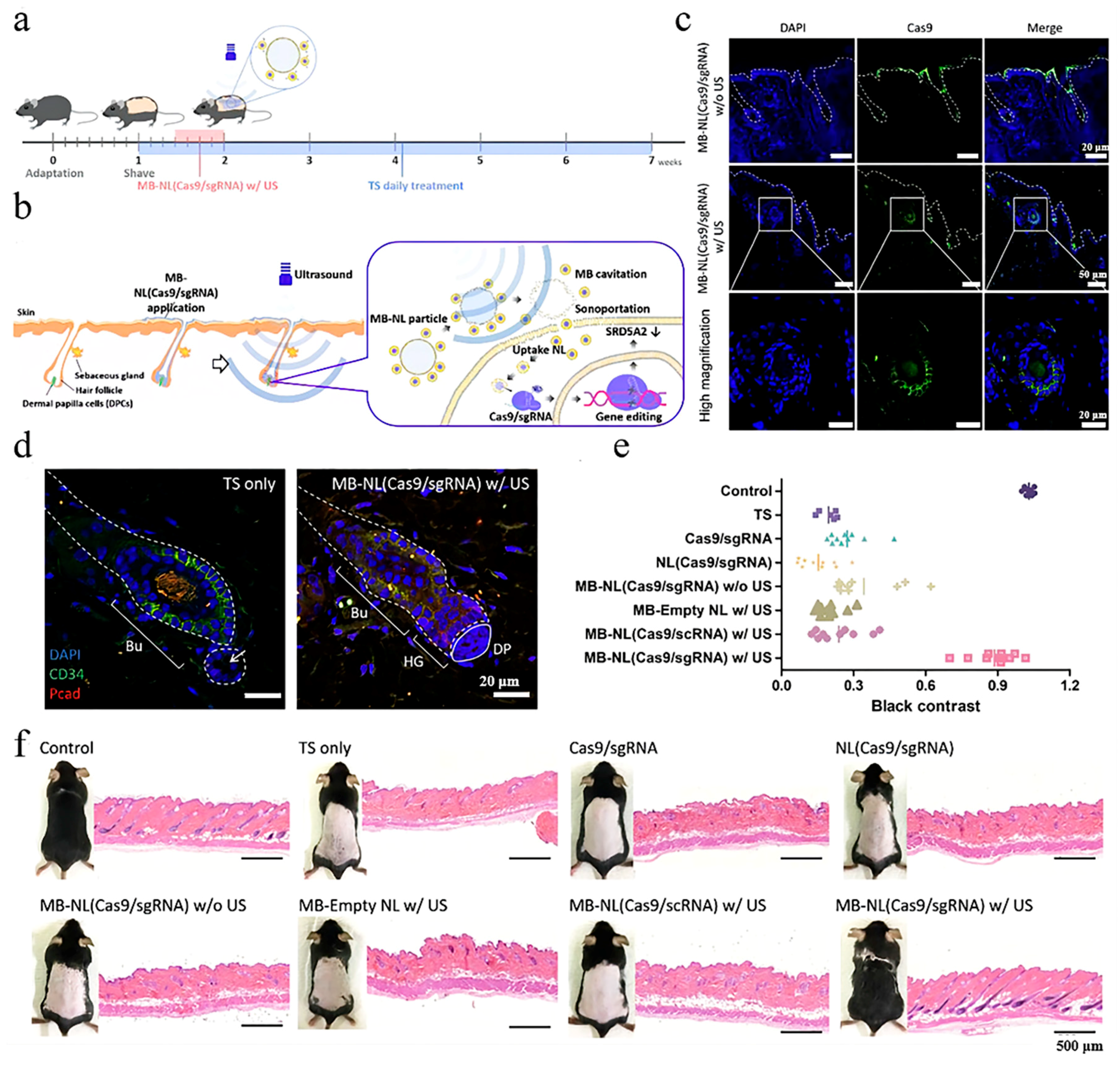 Pharmaceutics 15 01201 g003 Pharmaceutics 15 01201 g003