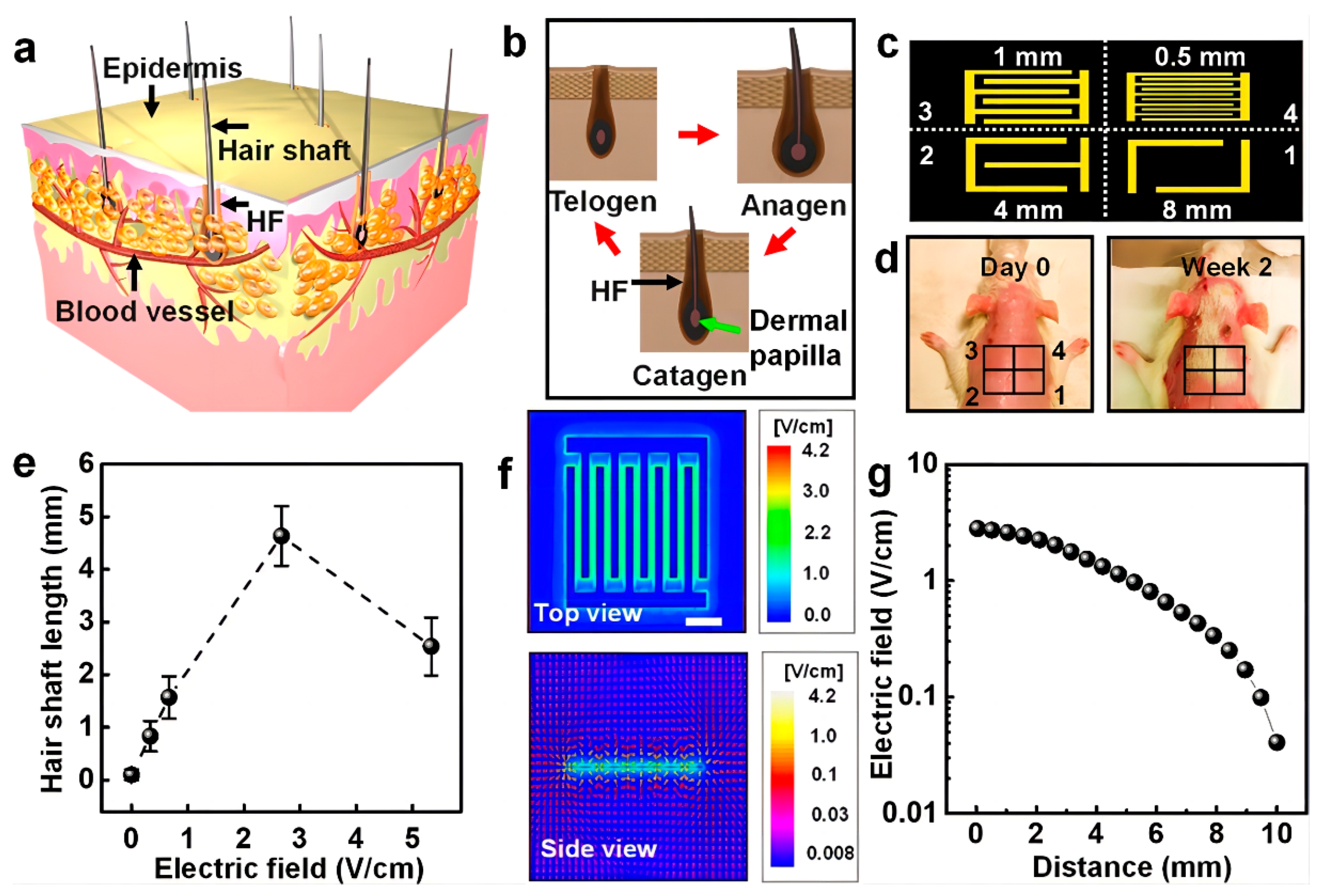 Pharmaceutics 15 01201 g004 Pharmaceutics 15 01201 g004