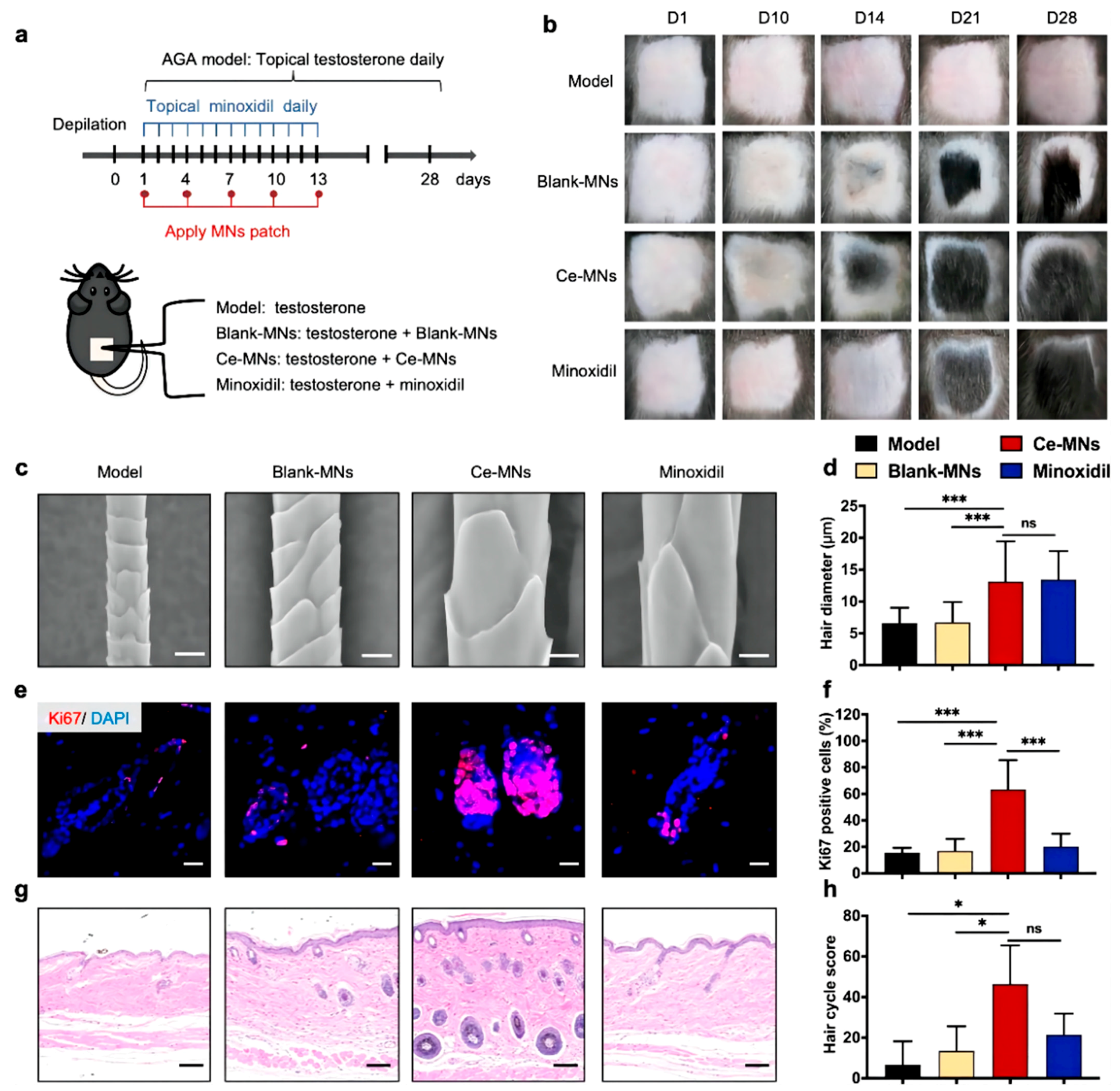 Pharmaceutics 15 01201 g006 Pharmaceutics 15 01201 g006