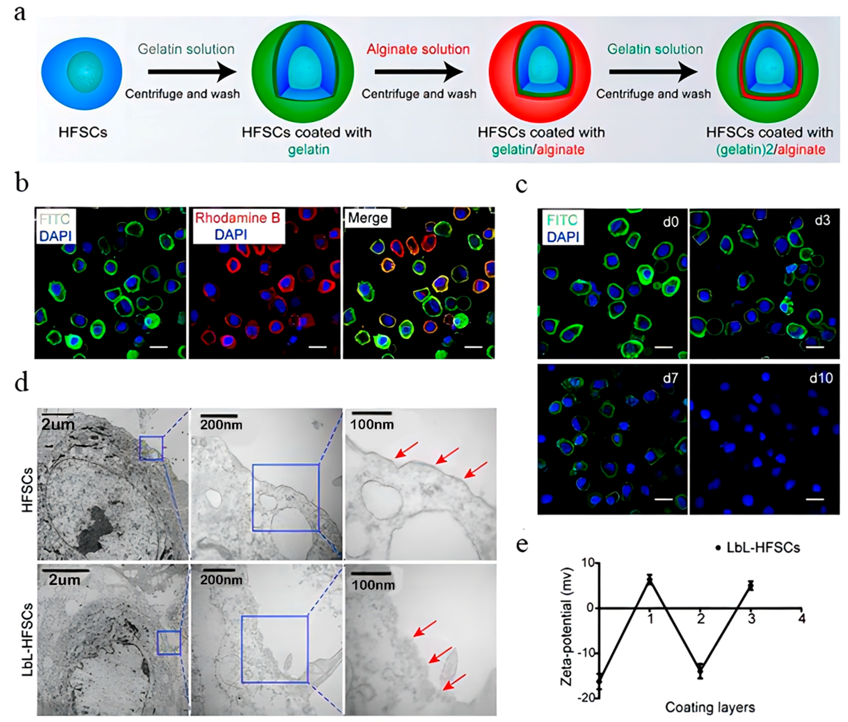 Pharmaceutics 15 01201 g007 Pharmaceutics 15 01201 g007