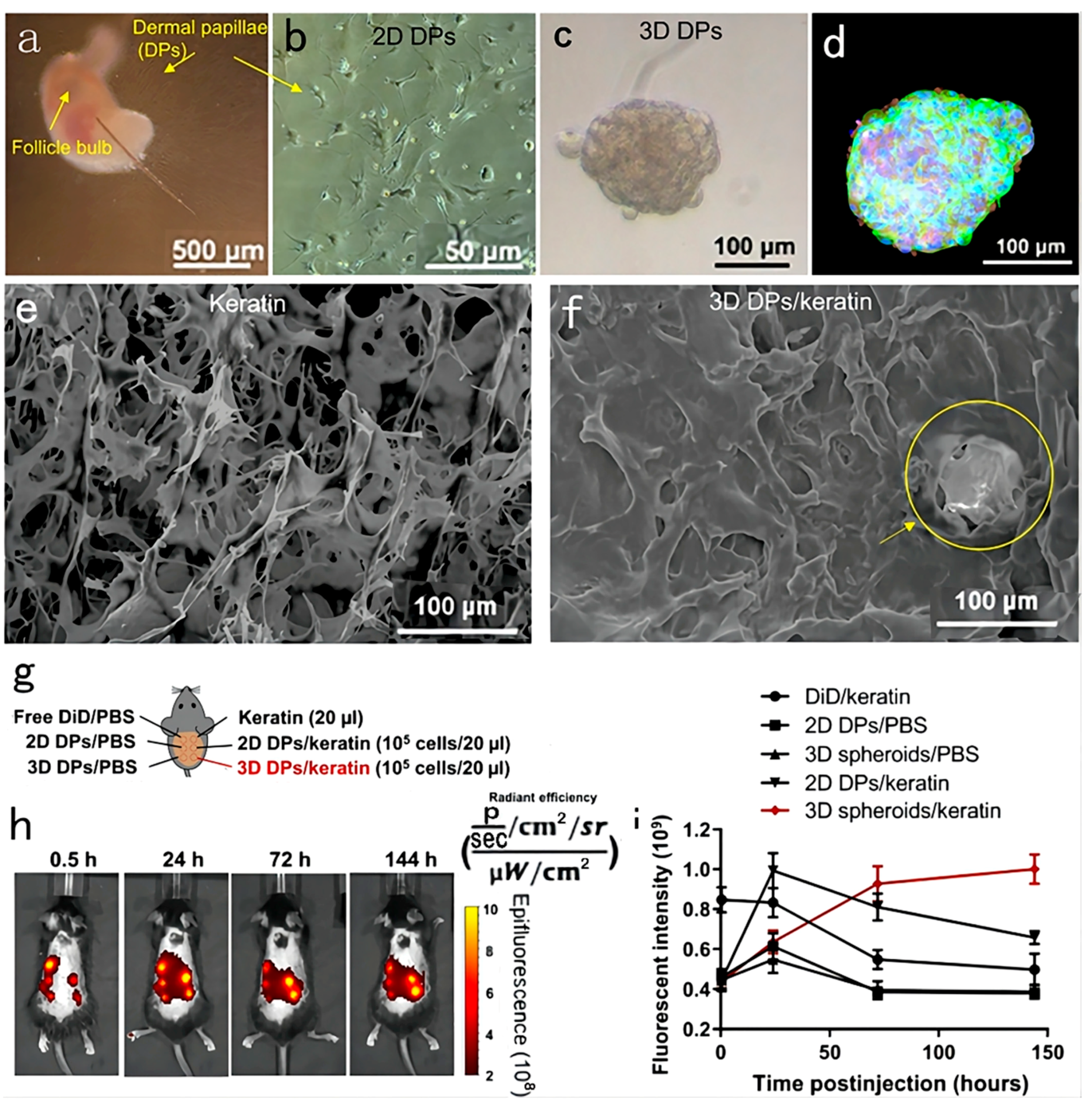 Pharmaceutics 15 01201 g008 Pharmaceutics 15 01201 g008