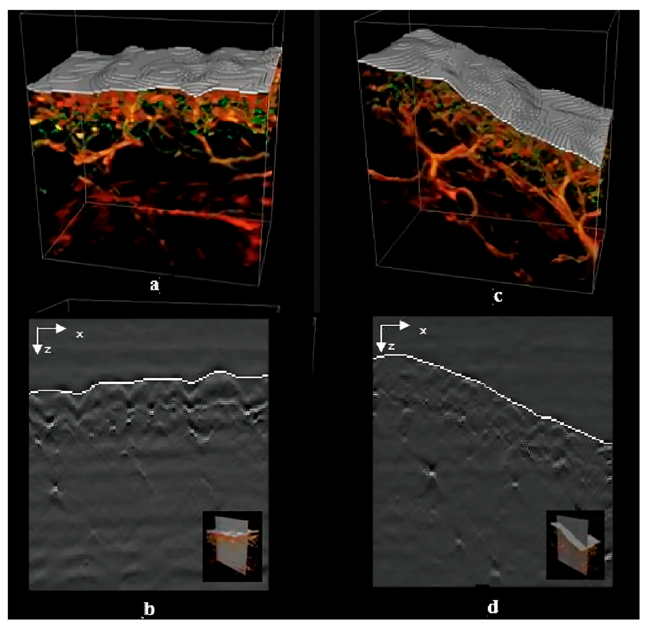 Pharmaceutics 15 01201 g010 Pharmaceutics 15 01201 g010