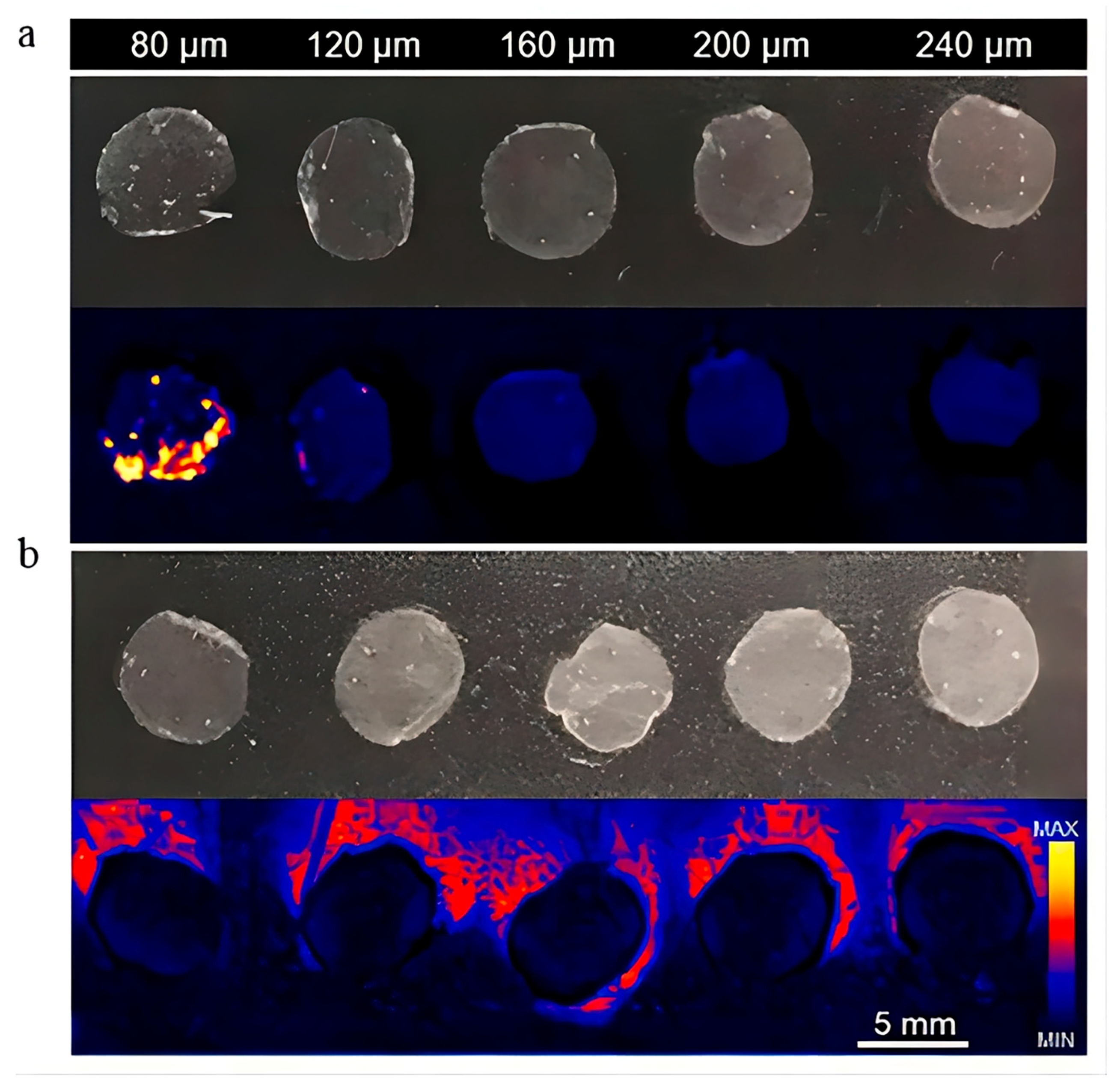 Pharmaceutics 15 01201 g011 Pharmaceutics 15 01201 g011