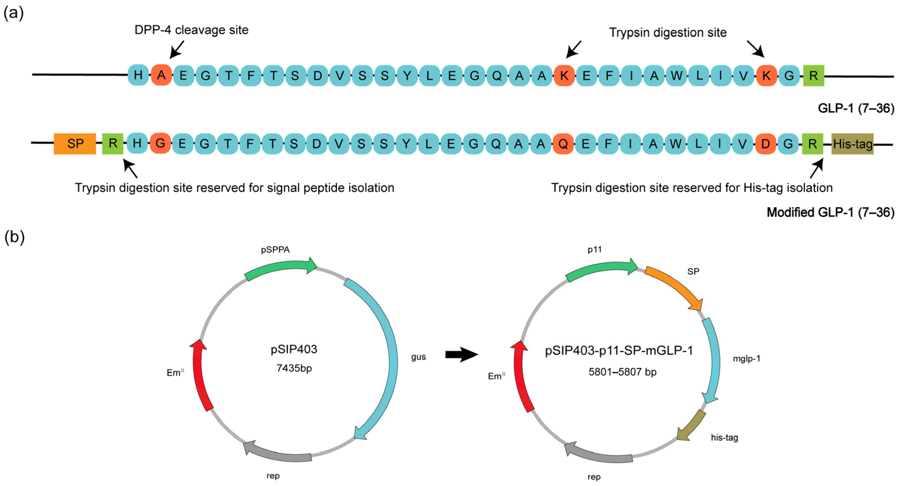 Pharmaceutics 15 01202 g001