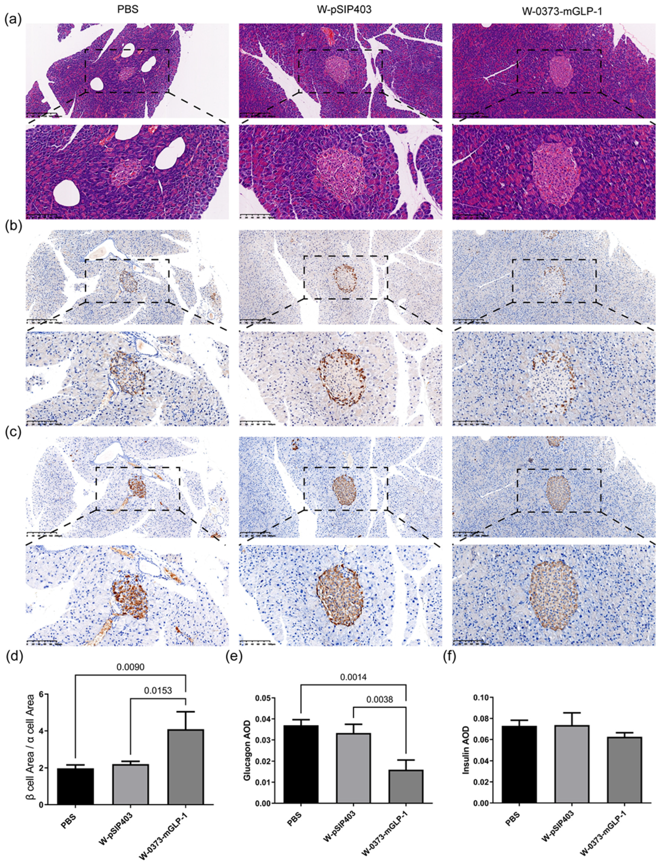Pharmaceutics 15 01202 g008