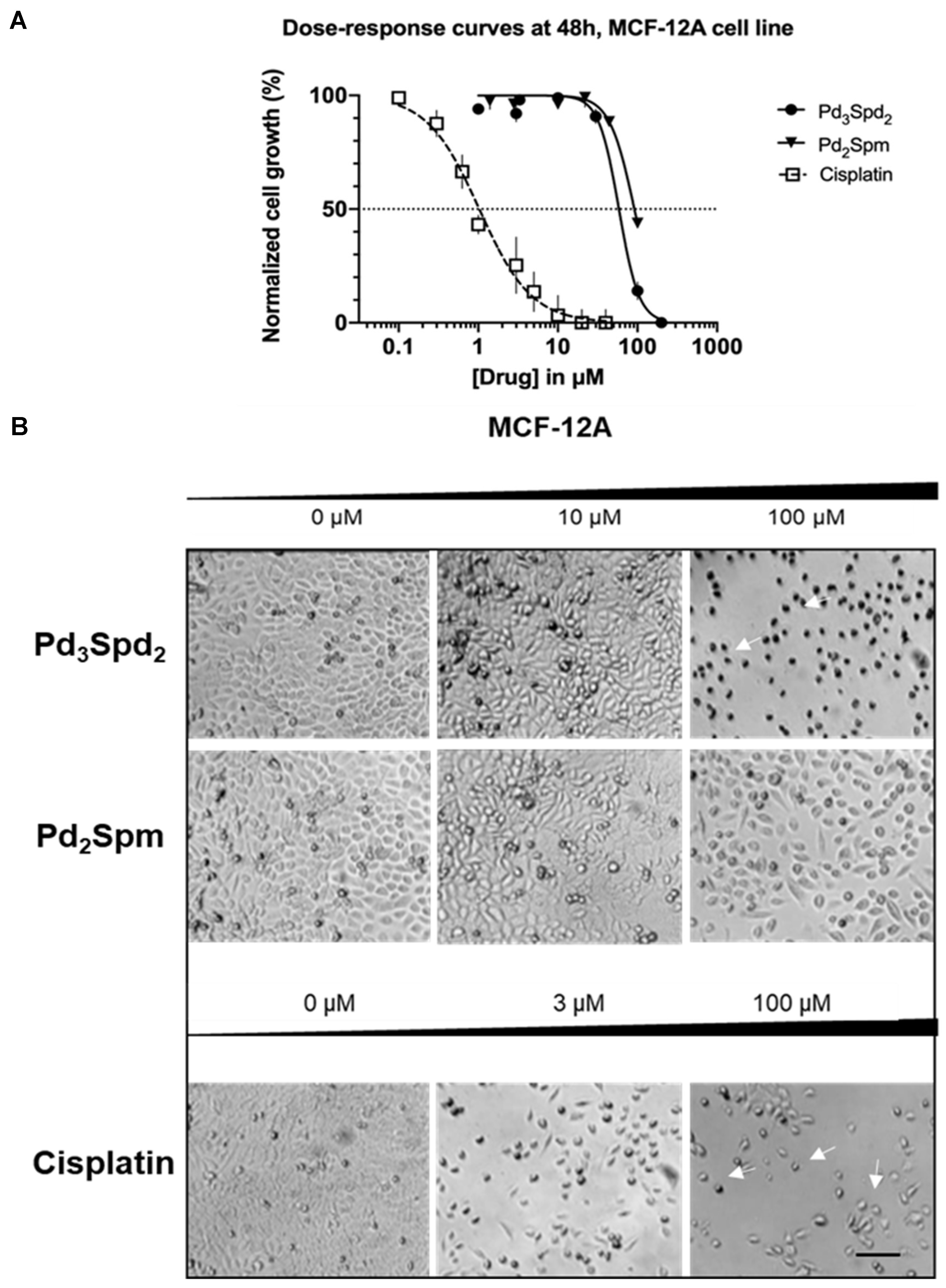 Pharmaceutics 15 01205 g006 Pharmaceutics 15 01205 g006
