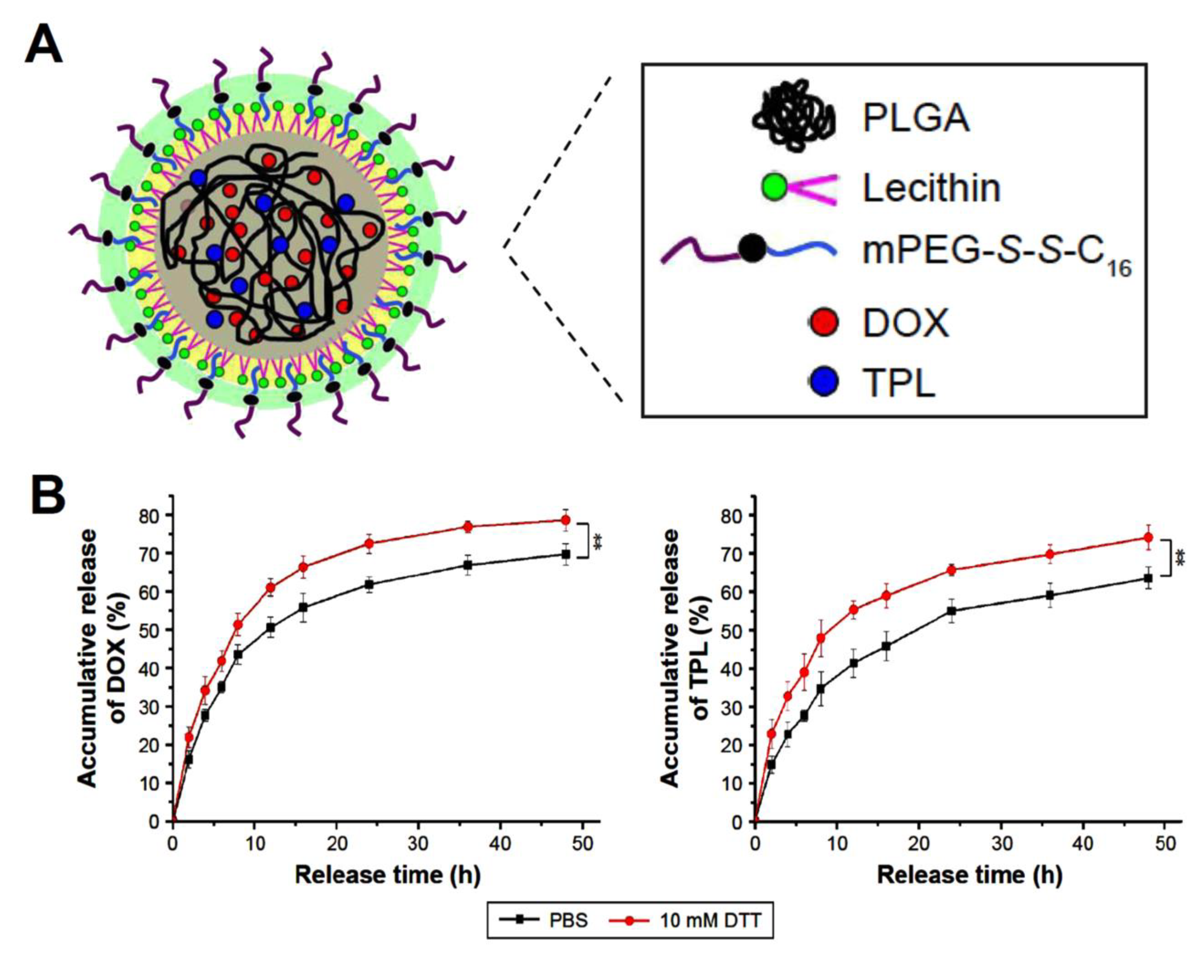 Pharmaceutics 15 01214 g004