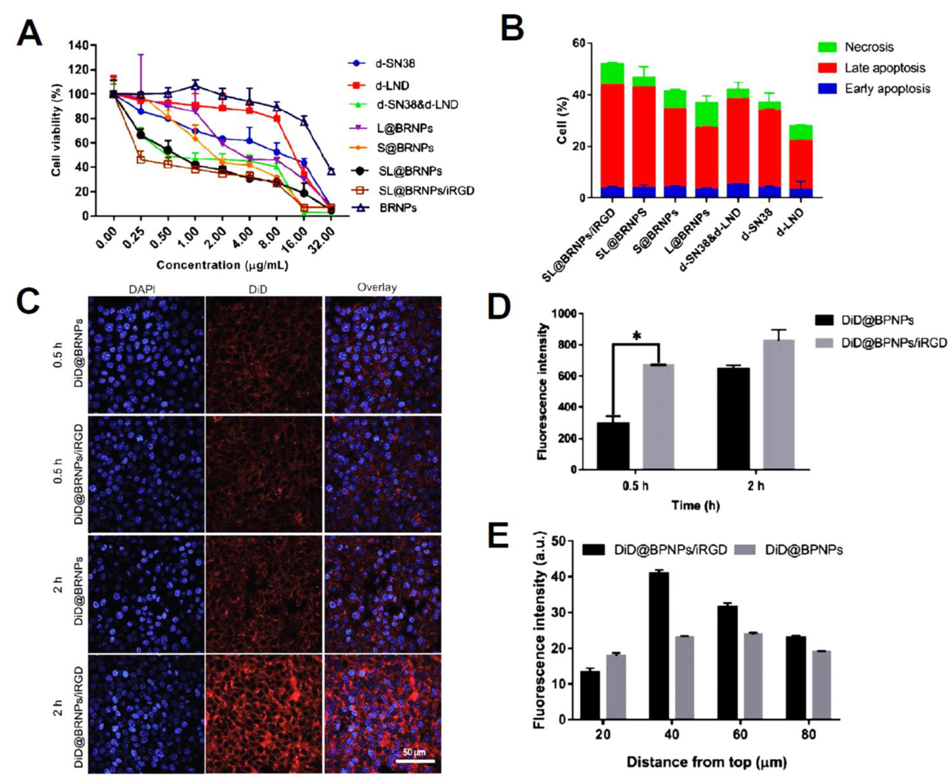 Pharmaceutics 15 01214 g005