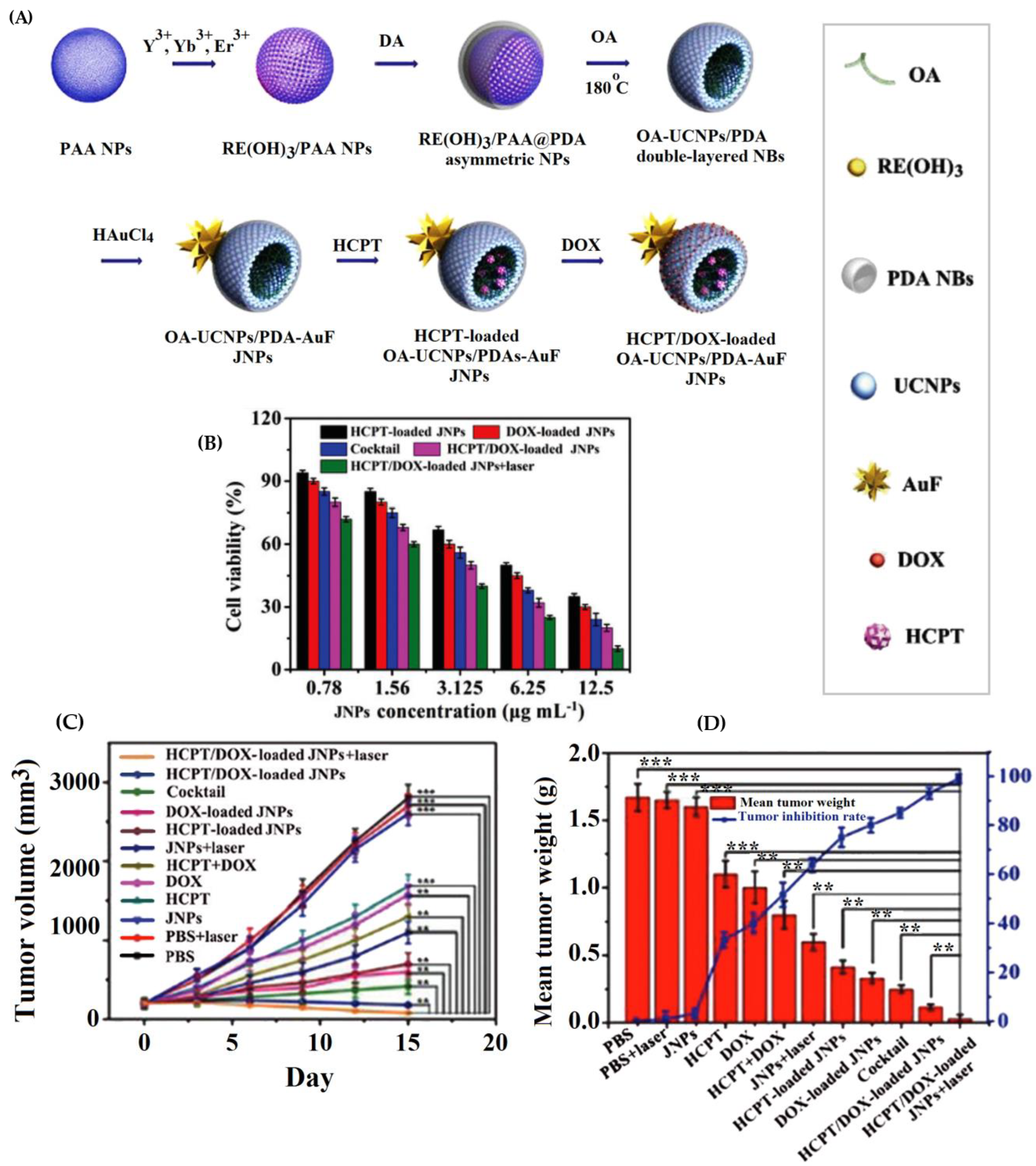 Pharmaceutics 15 01214 g012