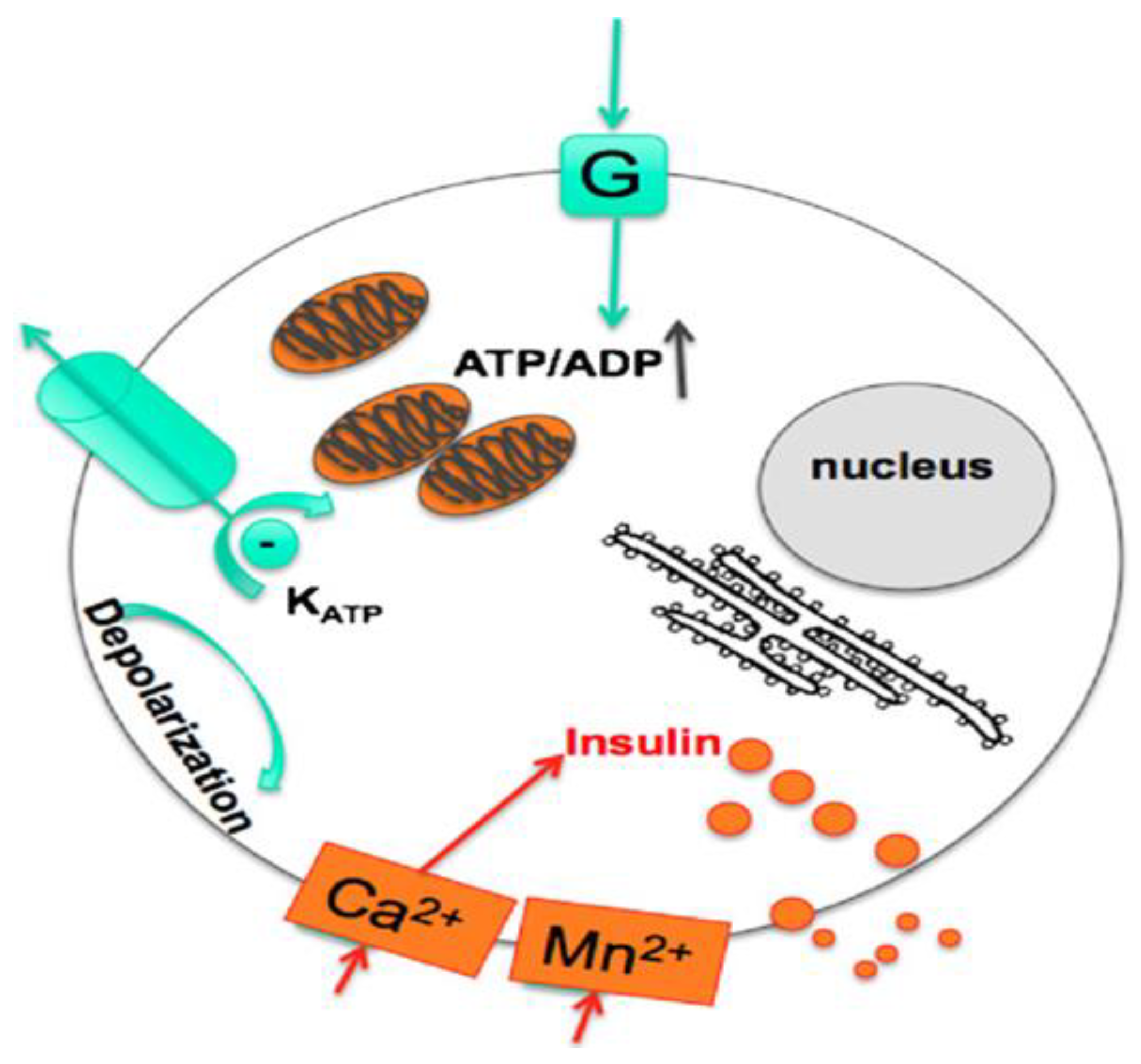 Pharmaceutics 15 01215 g008 Pharmaceutics 15 01215 g008