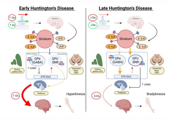 Small Extracellular Vesicles' miRNAs: Biomarkers and