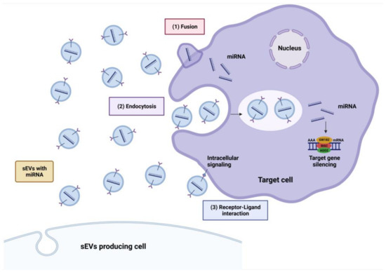 ジャンプ　1999 Kawasaki Motorcycle 1999 OEM Parts Diagram for Carburetor