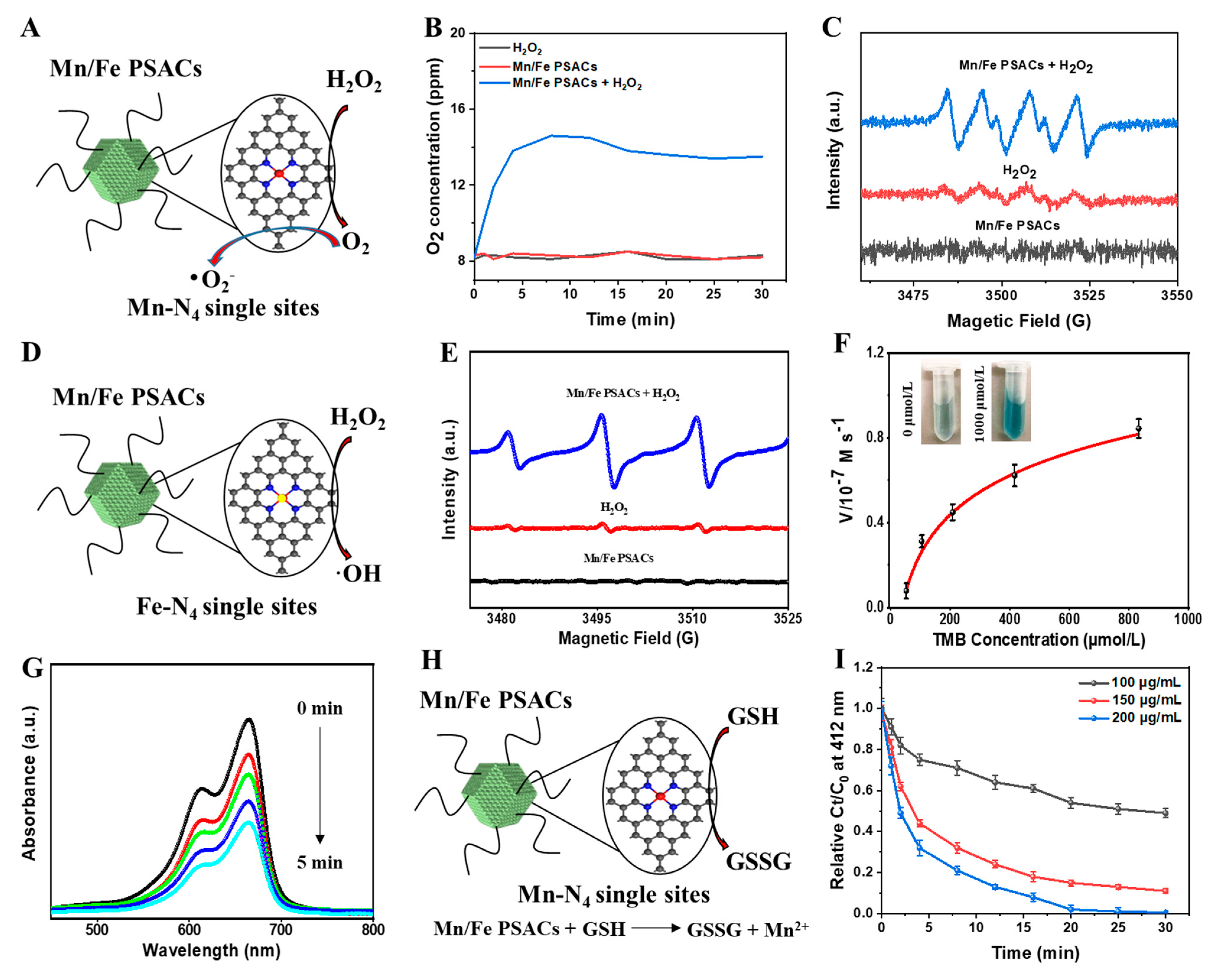 Pharmaceutics 15 01217 g003