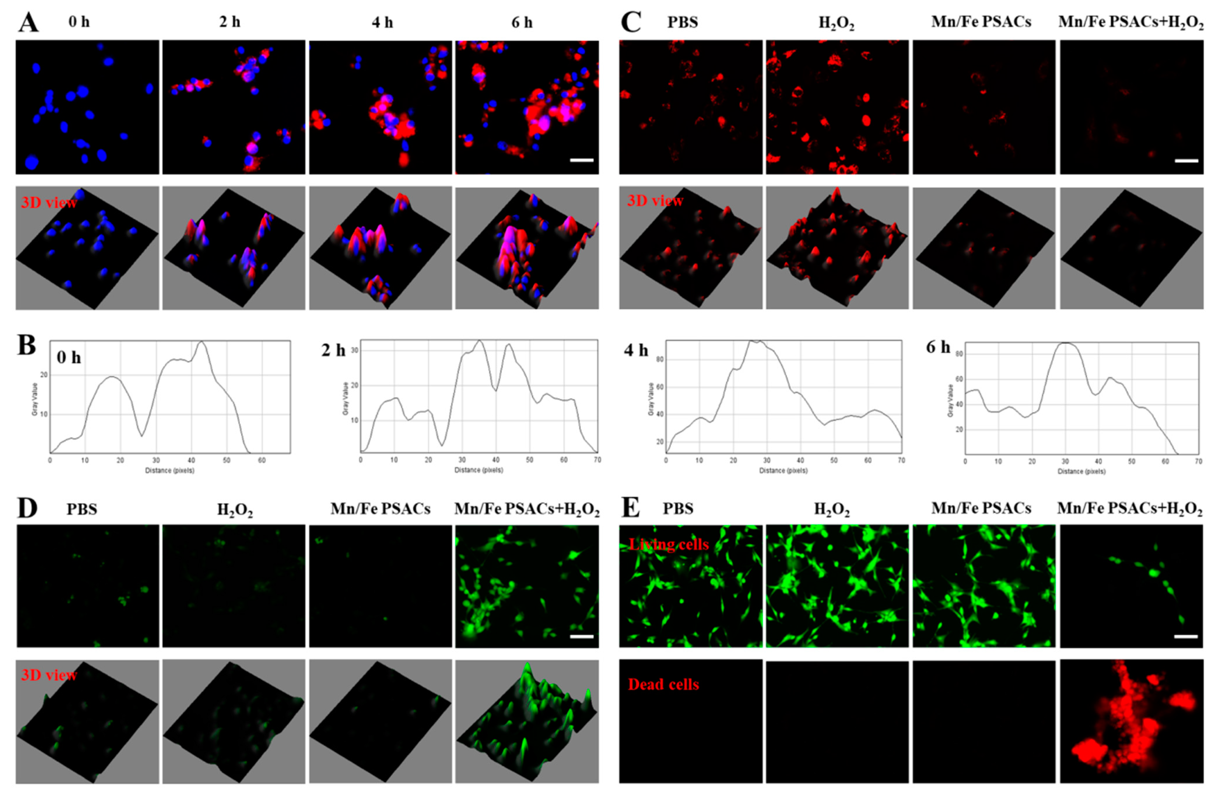 Pharmaceutics 15 01217 g004