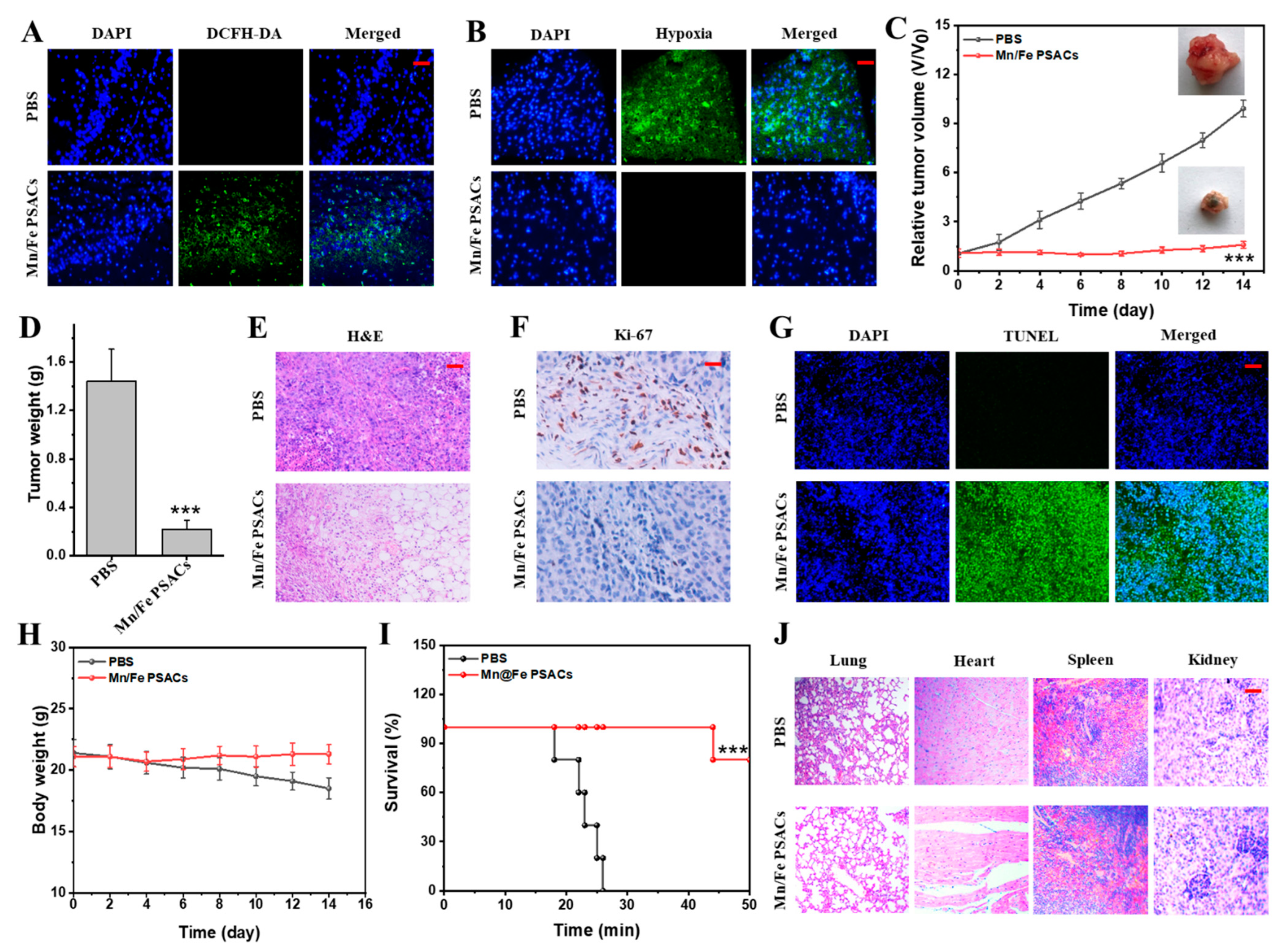 Pharmaceutics 15 01217 g006