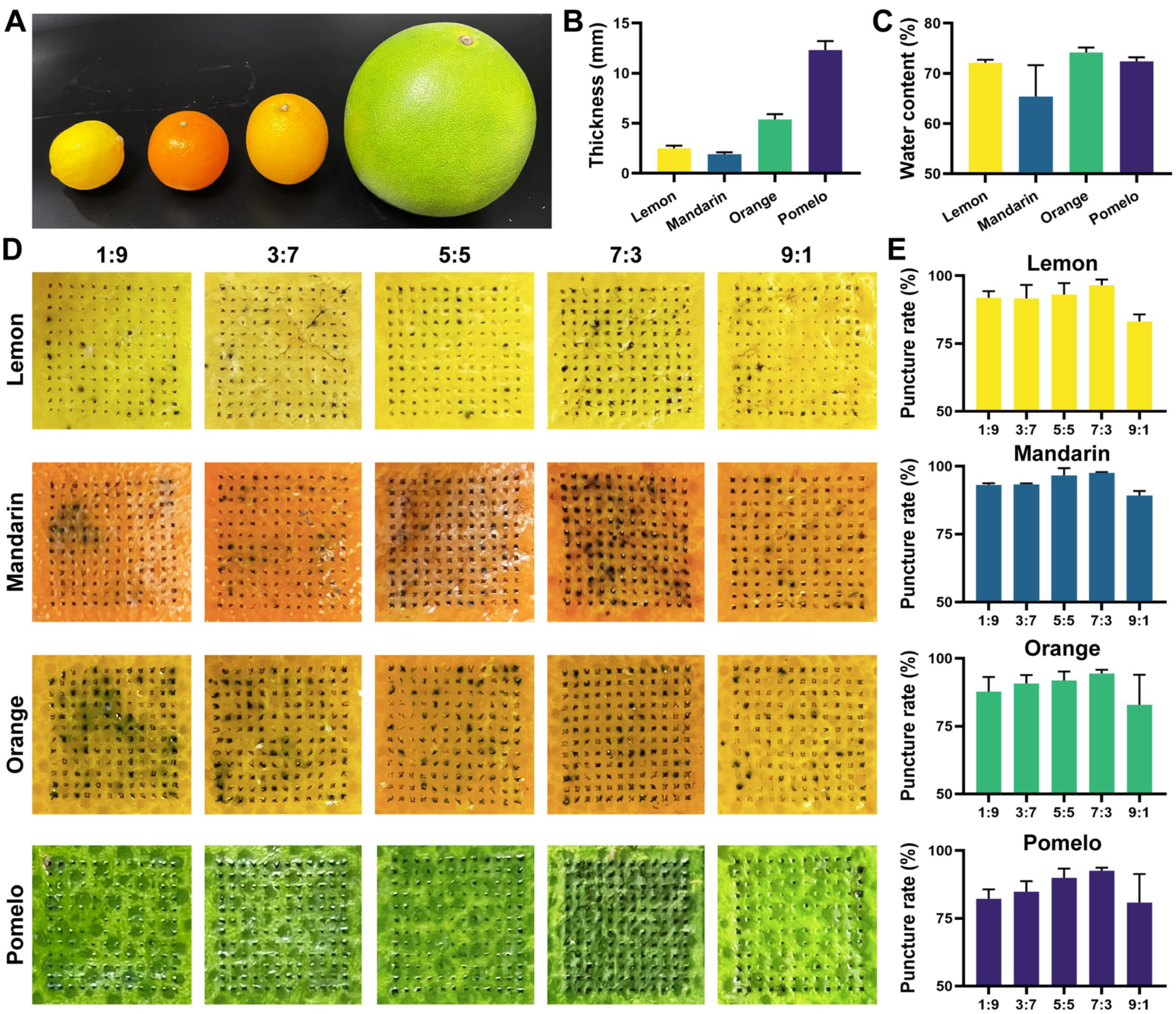 Pharmaceutics 15 01219 g002