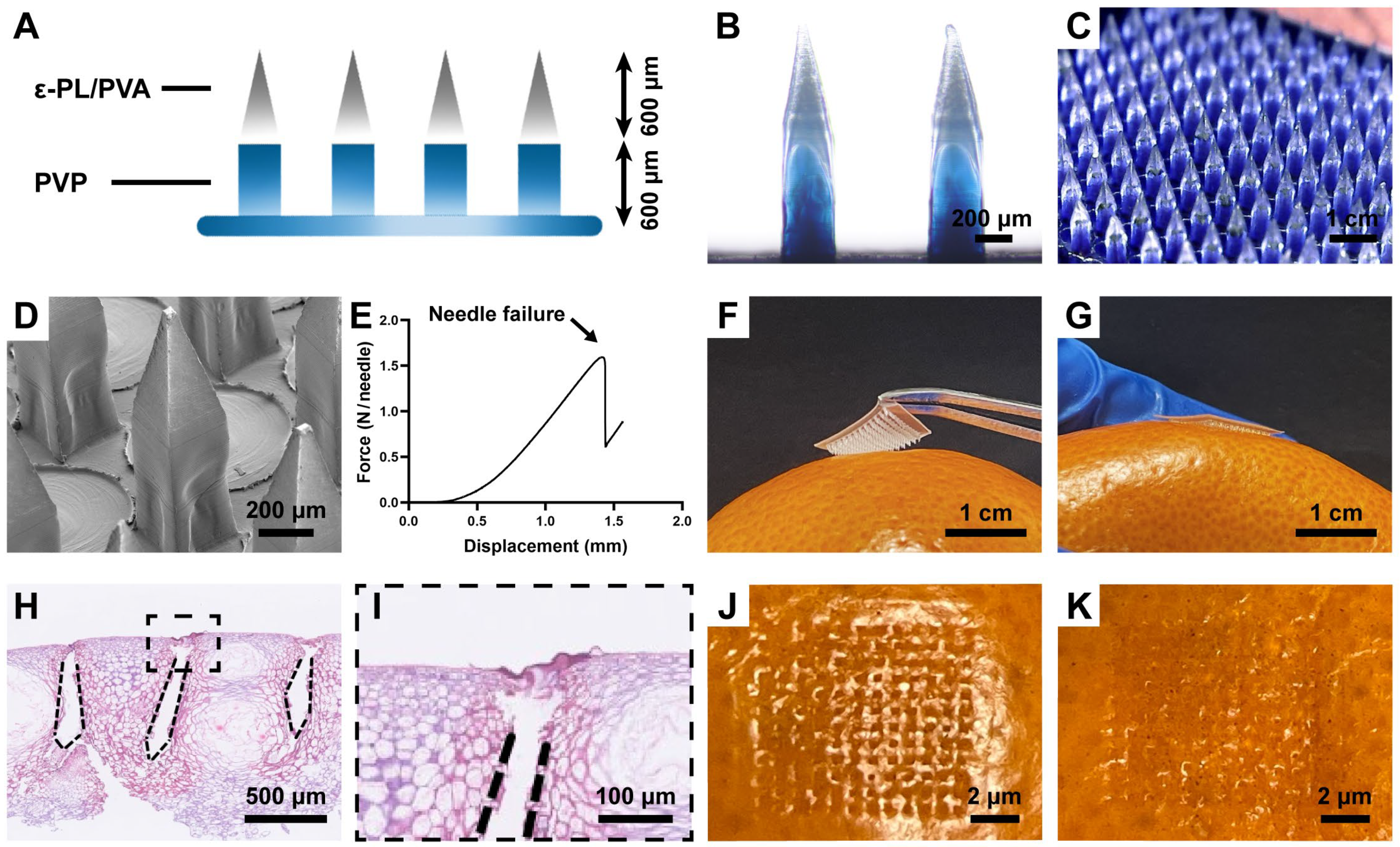 Pharmaceutics 15 01219 g003