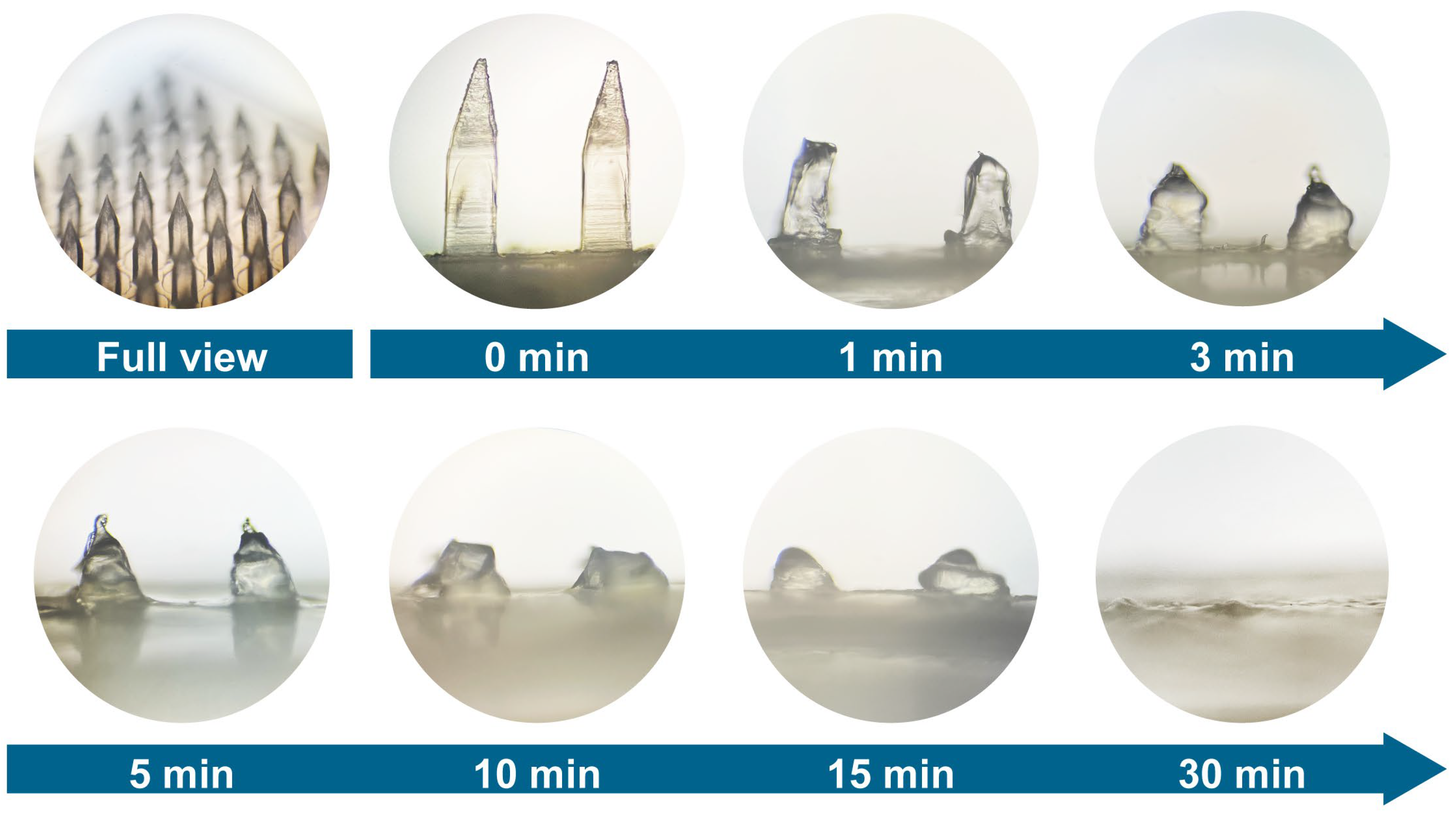 Pharmaceutics 15 01219 g004