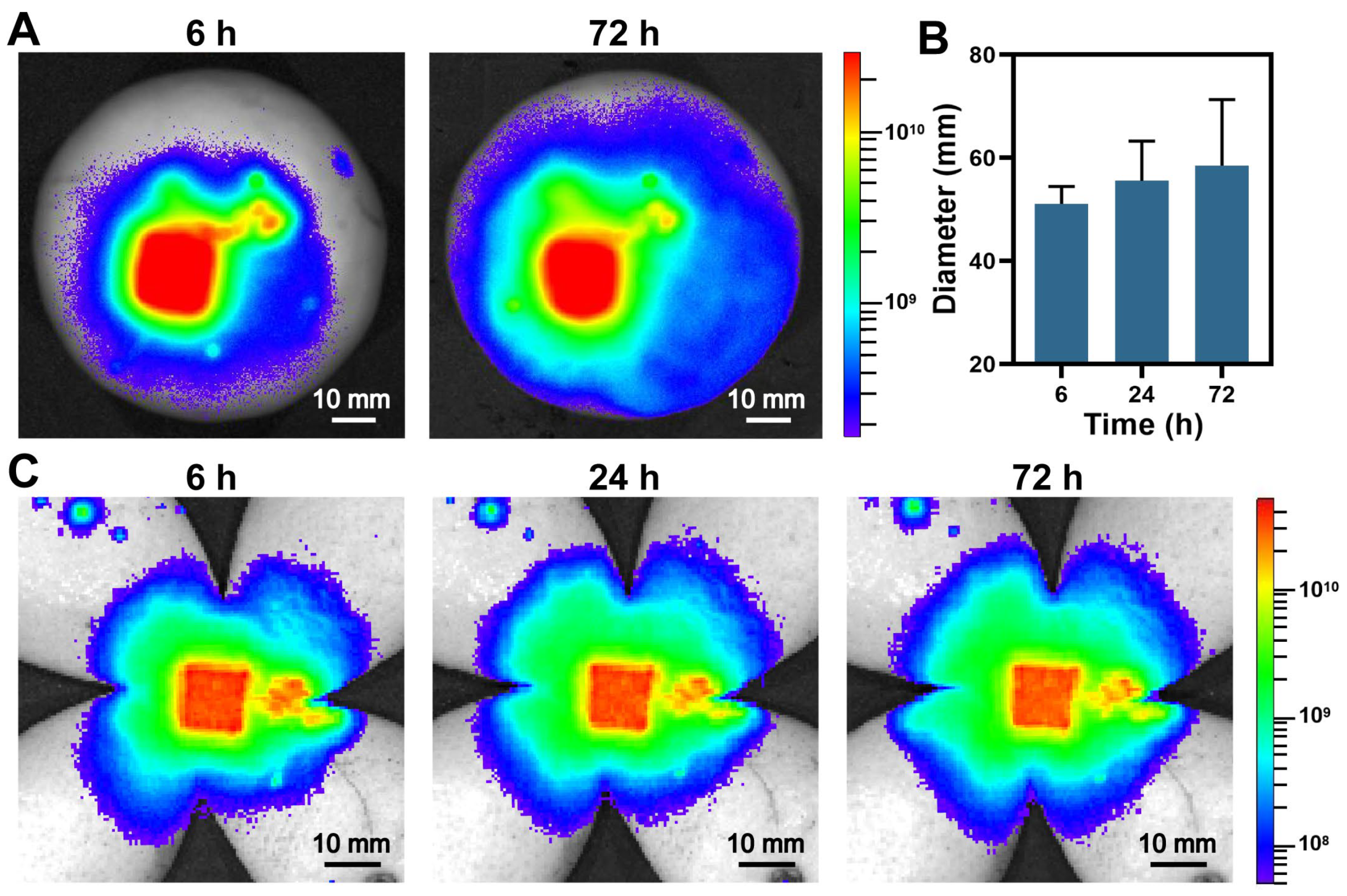 Pharmaceutics 15 01219 g005