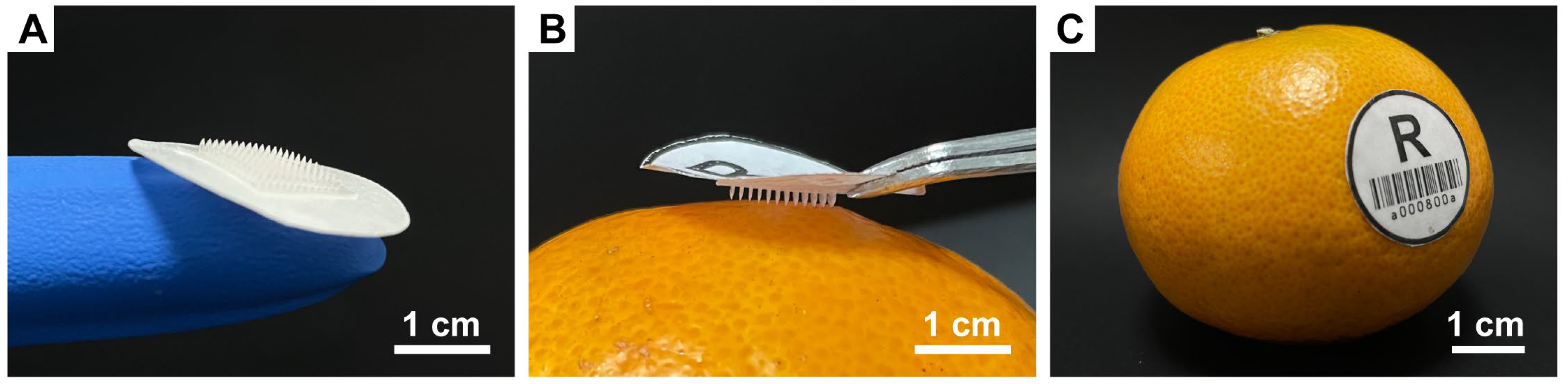 Pharmaceutics 15 01219 g007