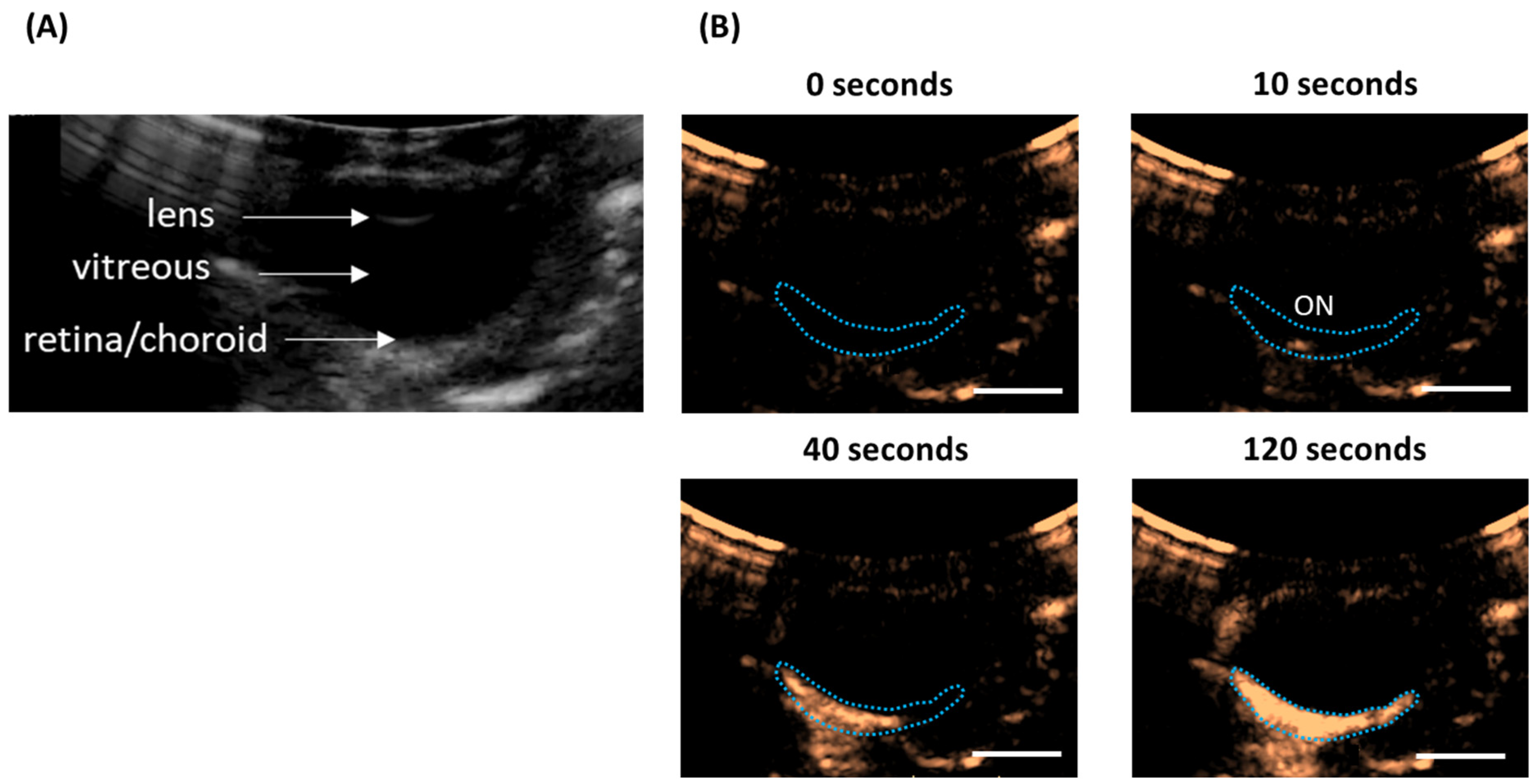 Pharmaceutics 15 01220 g002
