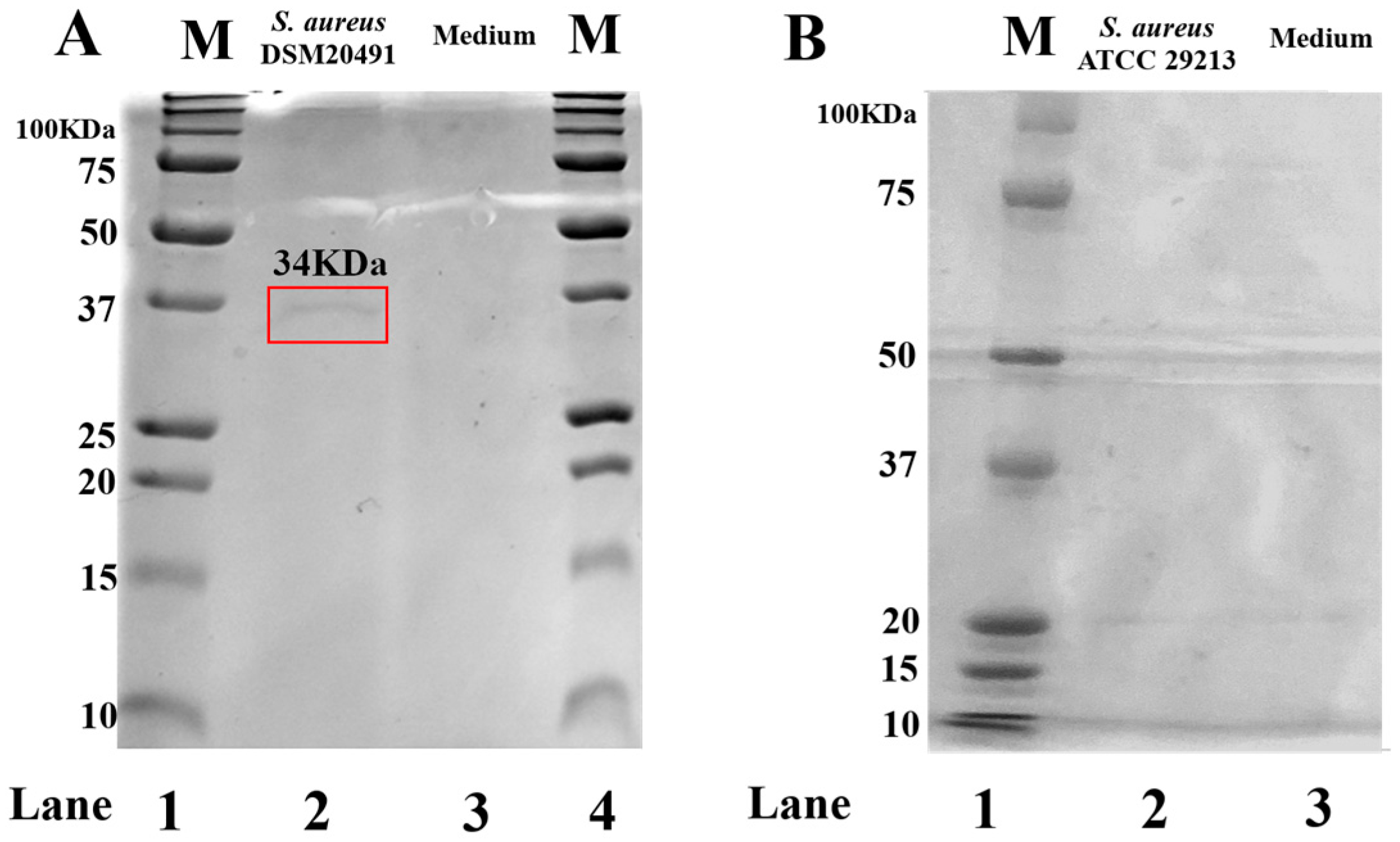 Pharmaceutics 15 01224 g001 Pharmaceutics 15 01224 g001