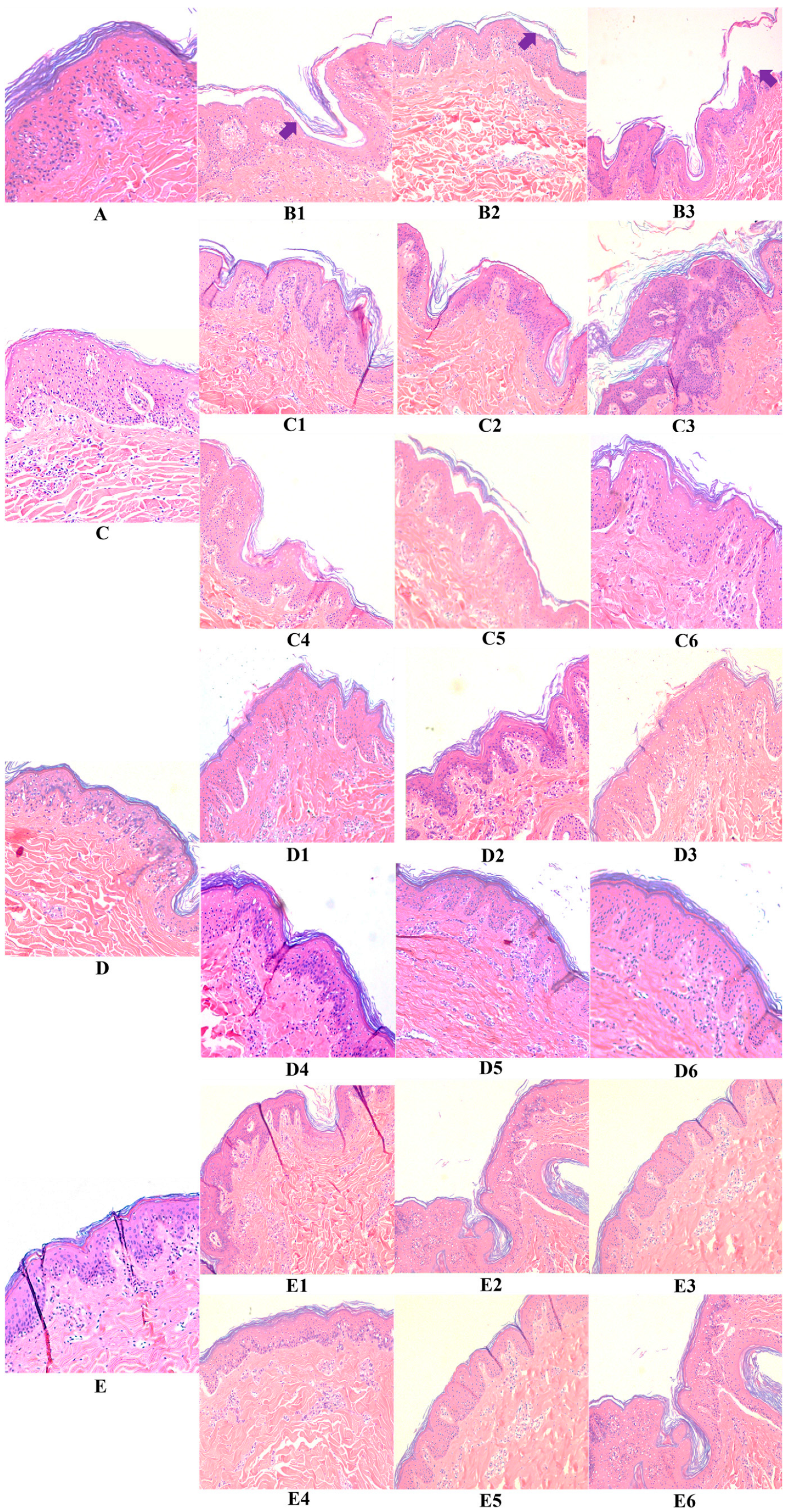 Pharmaceutics 15 01224 g002 Pharmaceutics 15 01224 g002