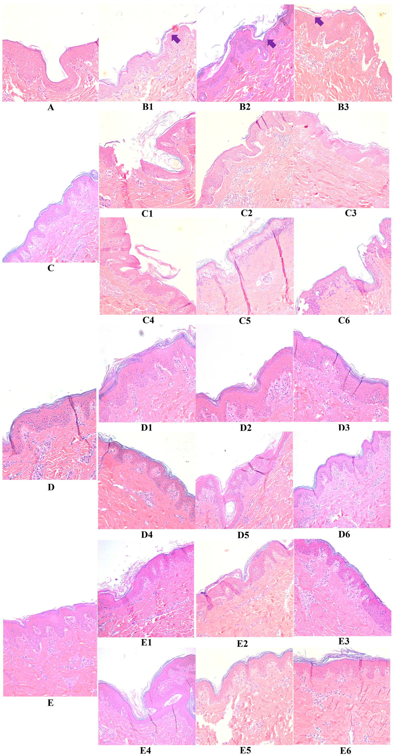 Pharmaceutics 15 01224 g003 Pharmaceutics 15 01224 g003