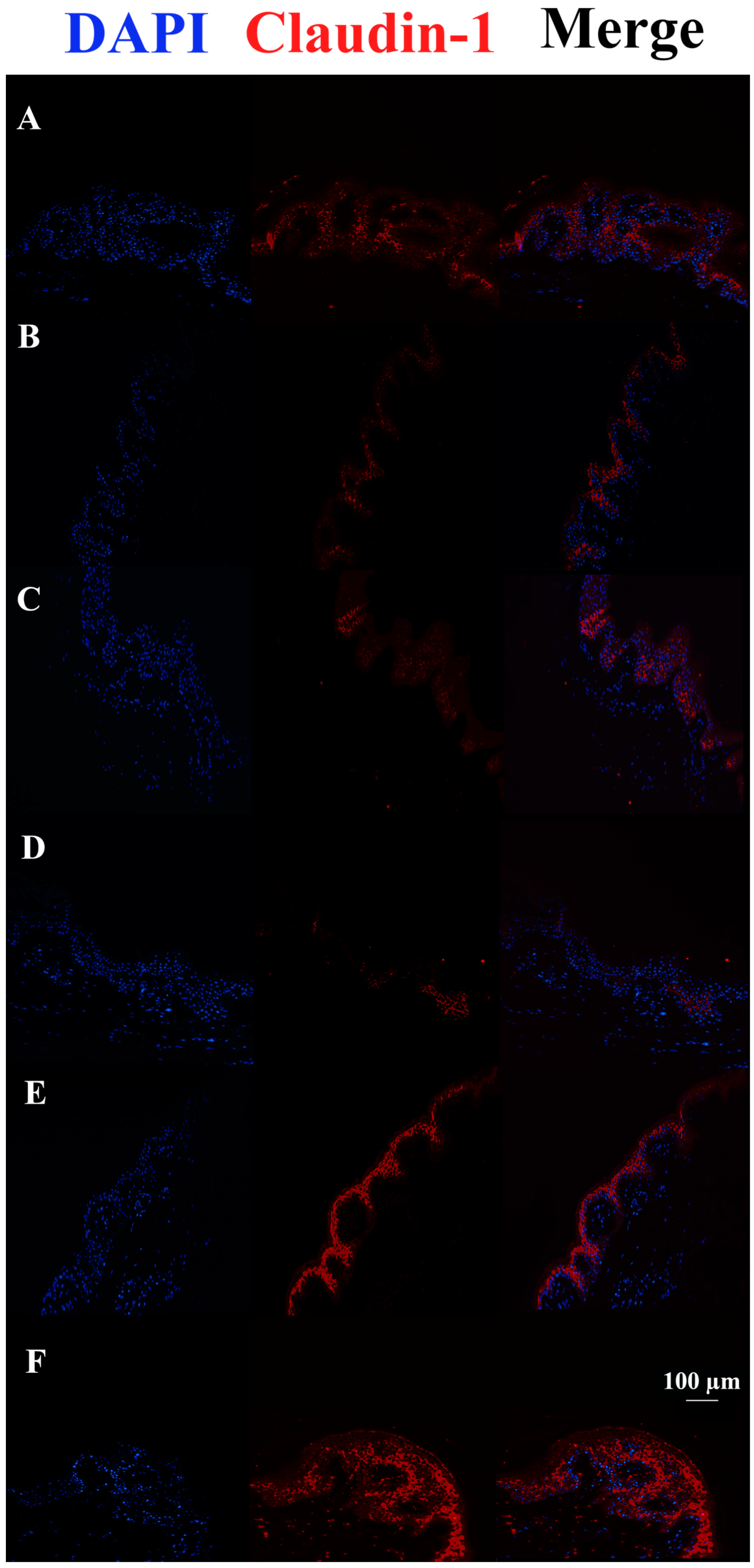 Pharmaceutics 15 01224 g004 Pharmaceutics 15 01224 g004