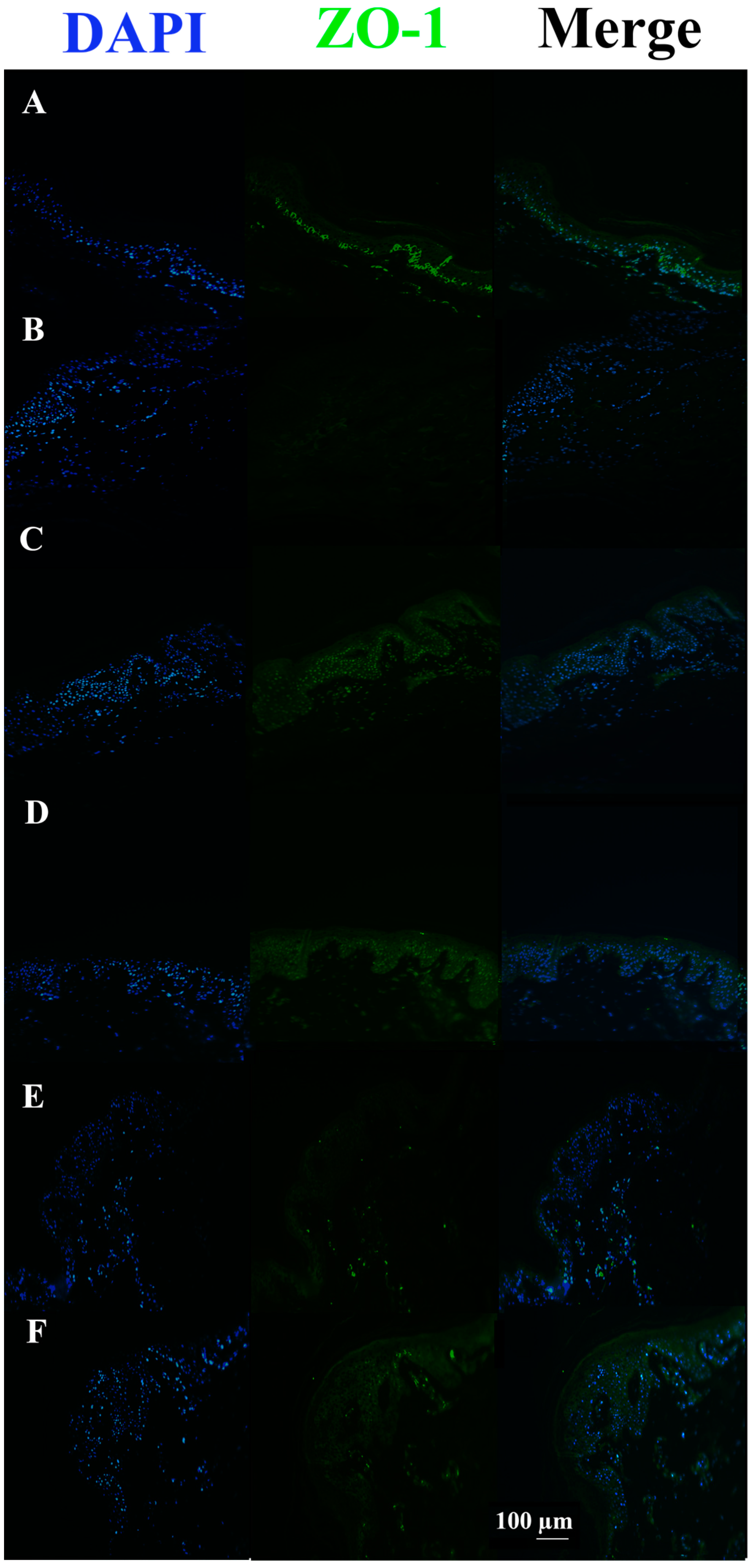 Pharmaceutics 15 01224 g005 Pharmaceutics 15 01224 g005