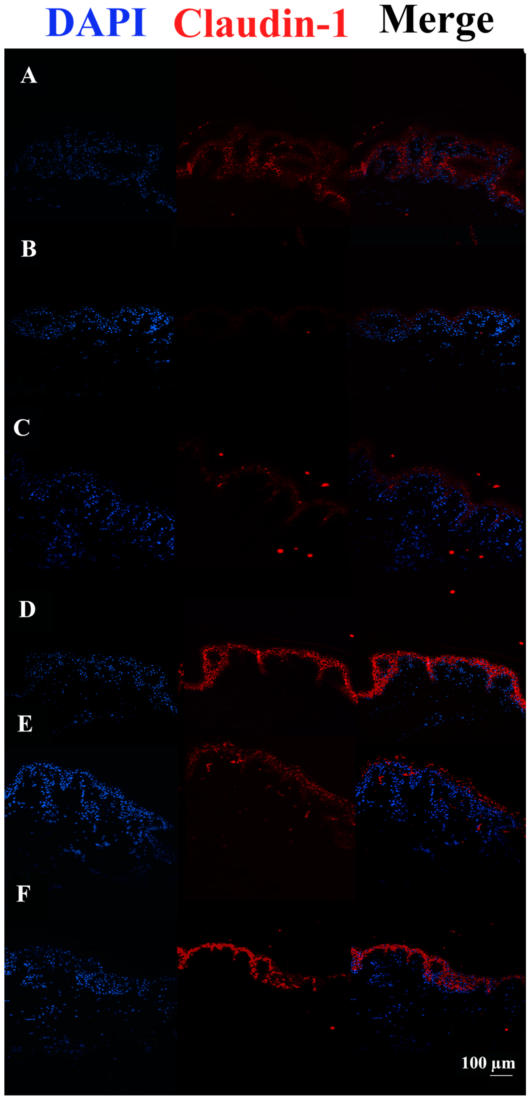 Pharmaceutics 15 01224 g006 Pharmaceutics 15 01224 g006