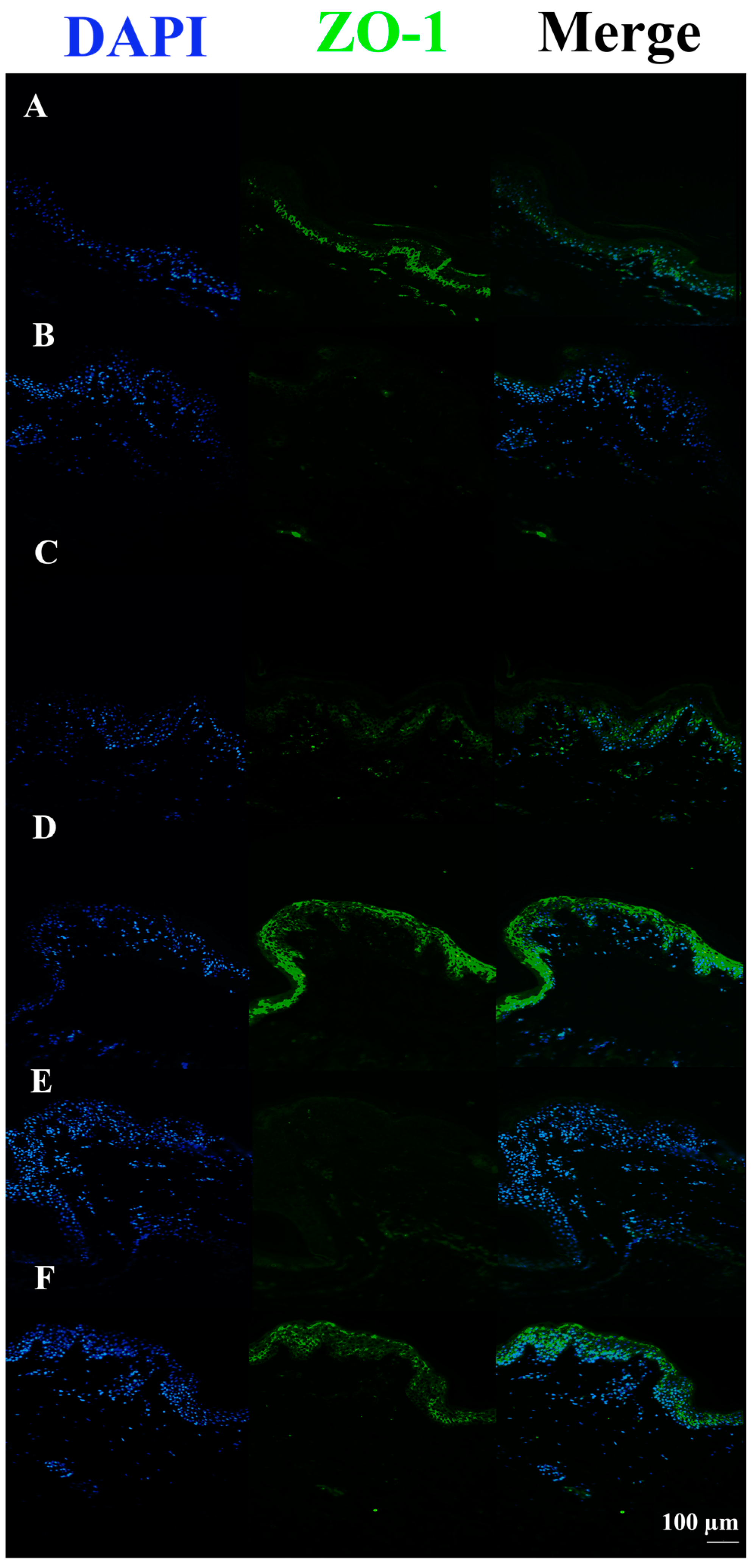 Pharmaceutics 15 01224 g007 Pharmaceutics 15 01224 g007