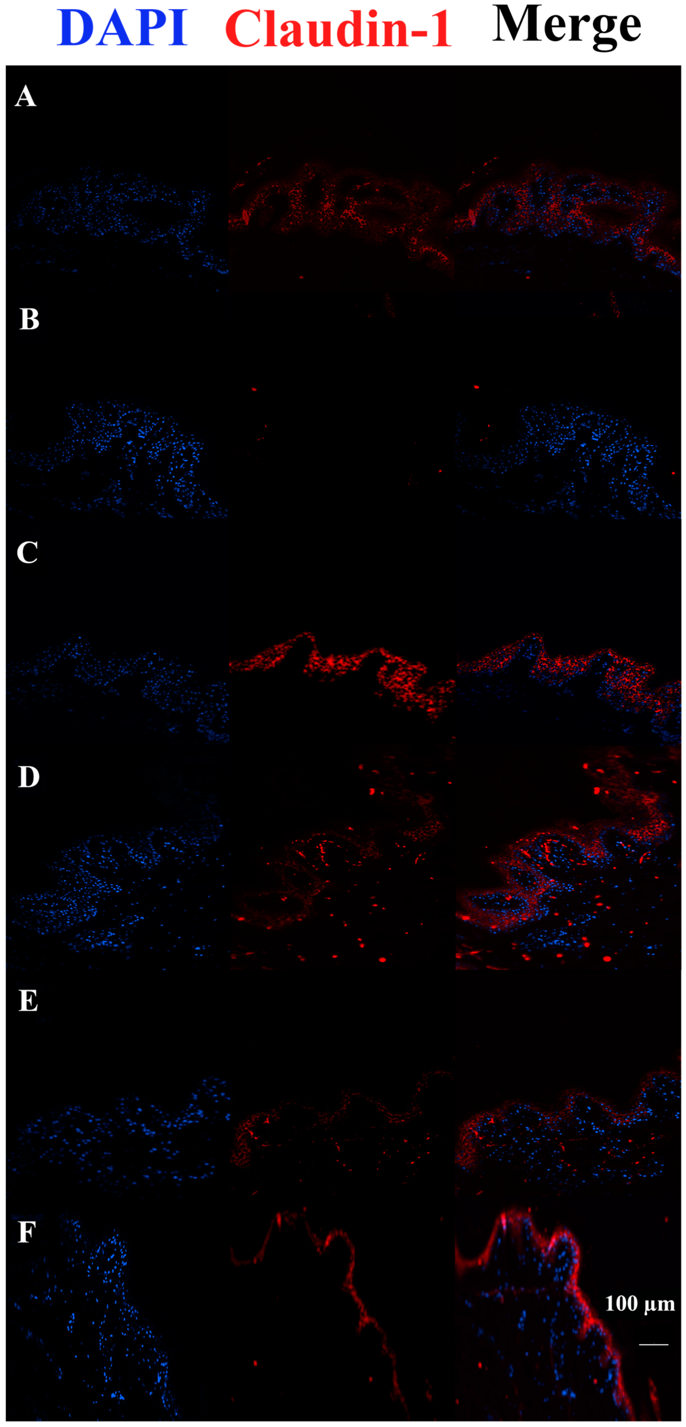 Pharmaceutics 15 01224 g008 Pharmaceutics 15 01224 g008