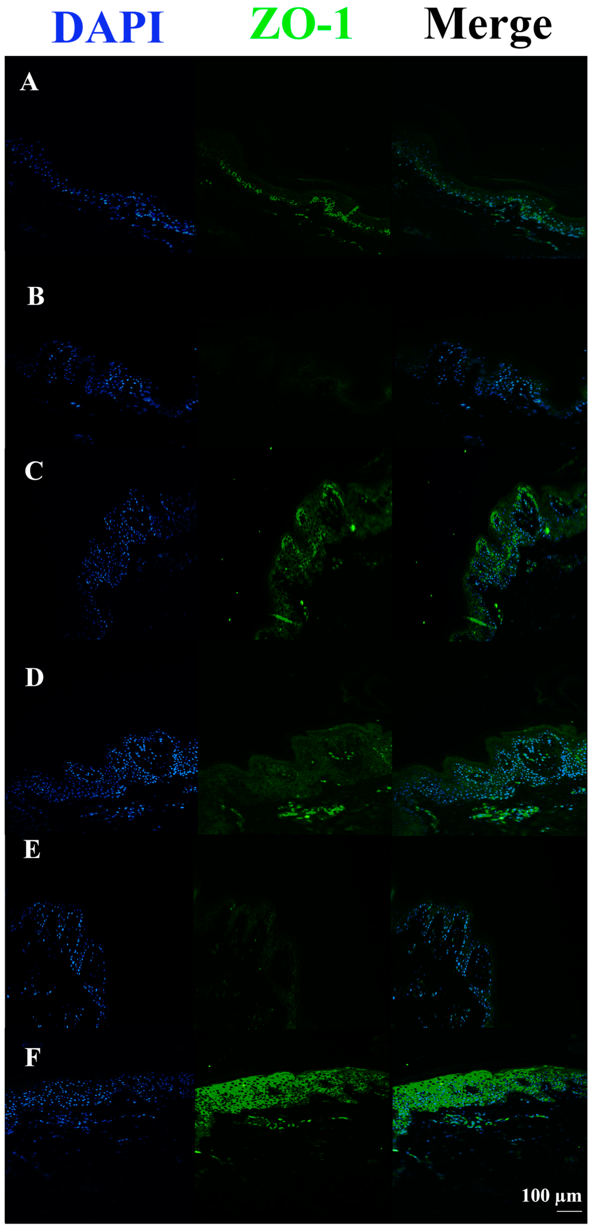 Pharmaceutics 15 01224 g009 Pharmaceutics 15 01224 g009