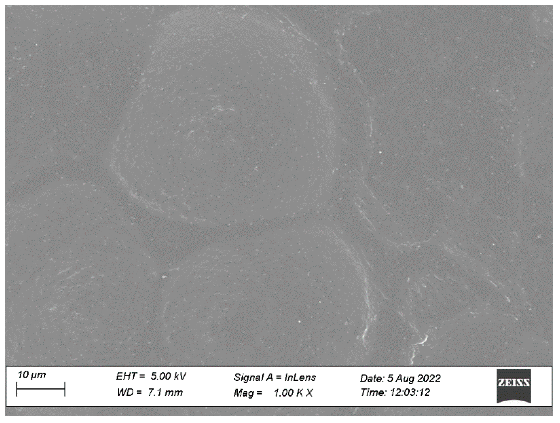 Pharmaceutics 15 01226 g009