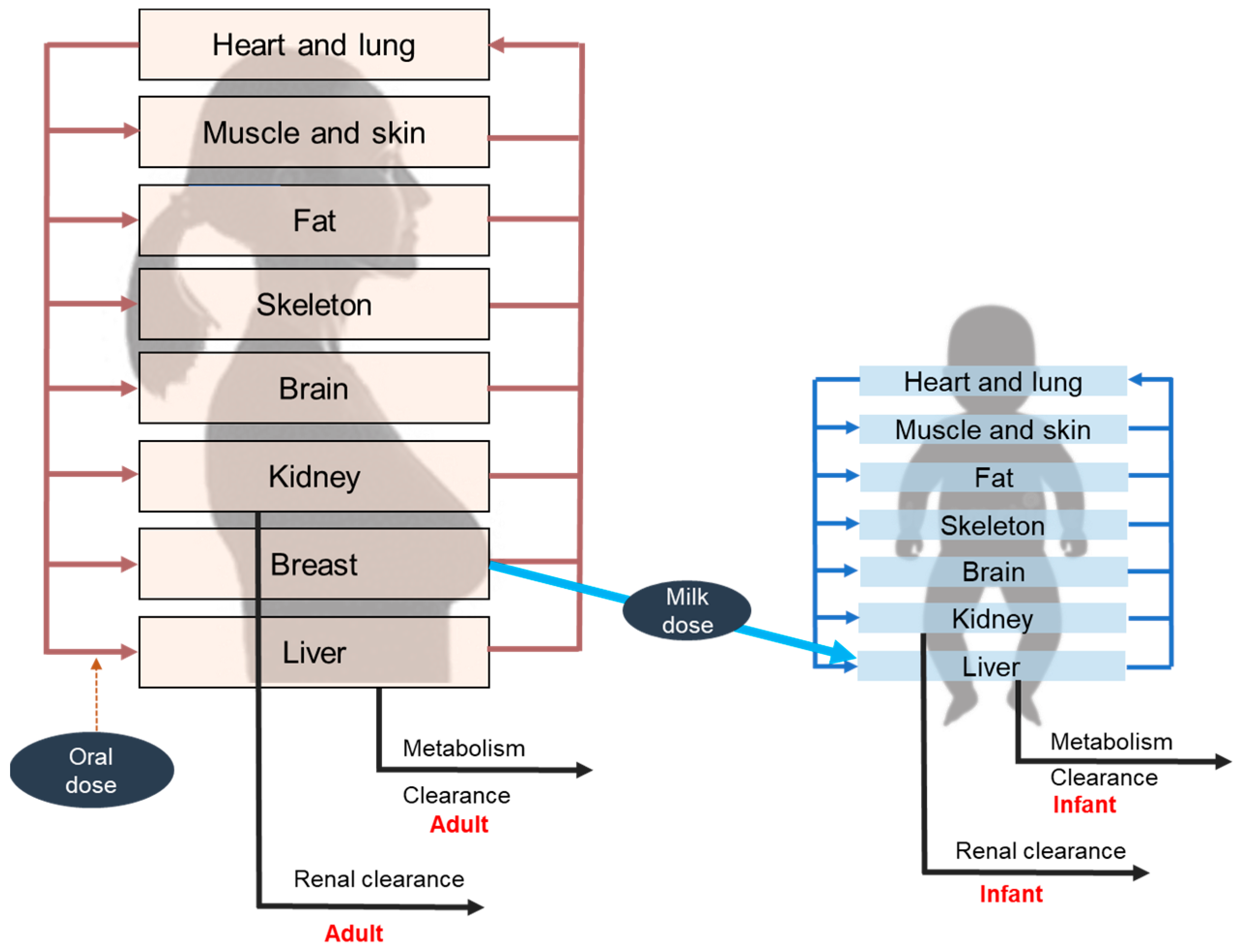 Pharmaceutics 15 01228 g002