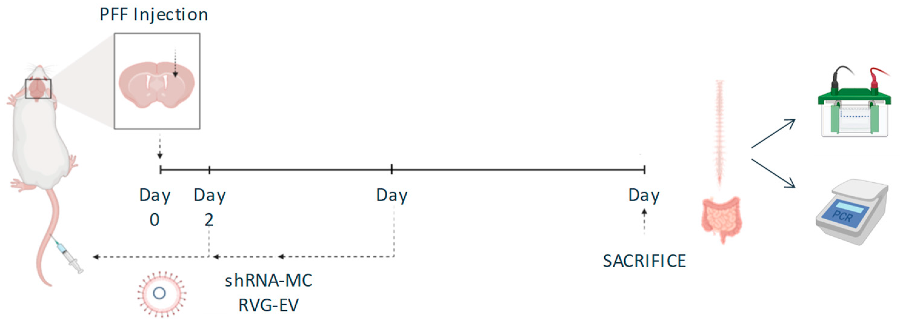 Pharmaceutics 15 01230 g001