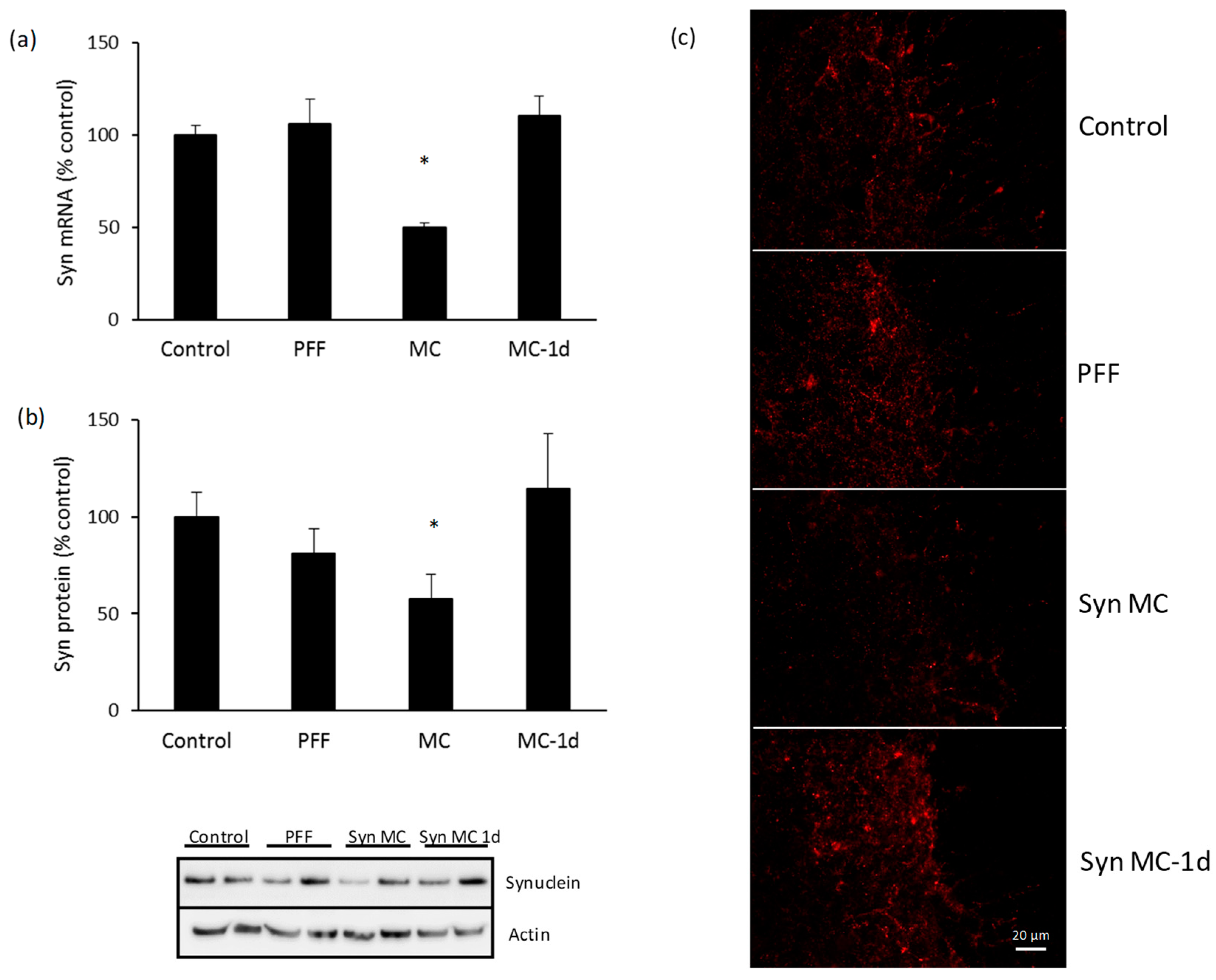 Pharmaceutics 15 01230 g005