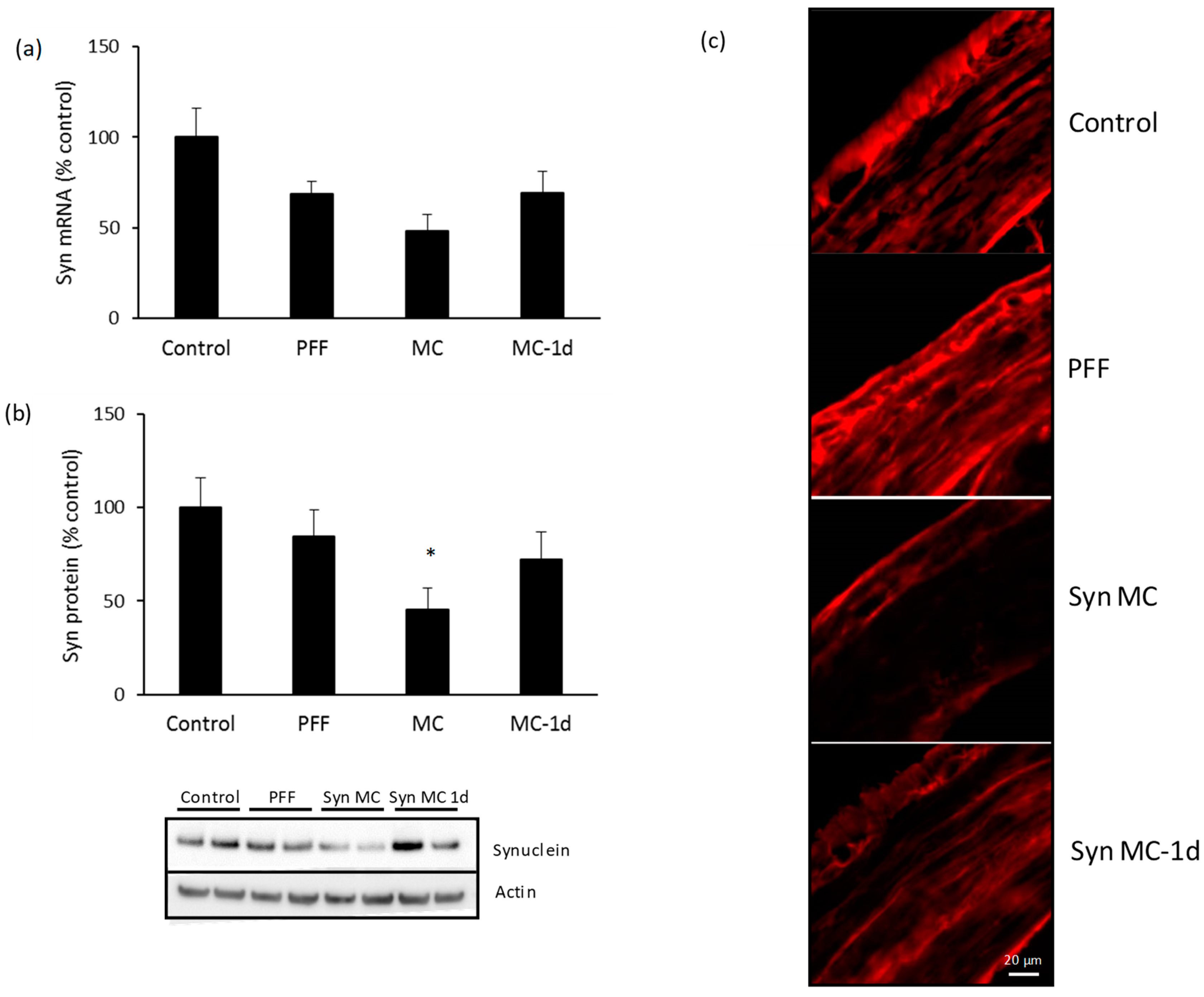 Pharmaceutics 15 01230 g006