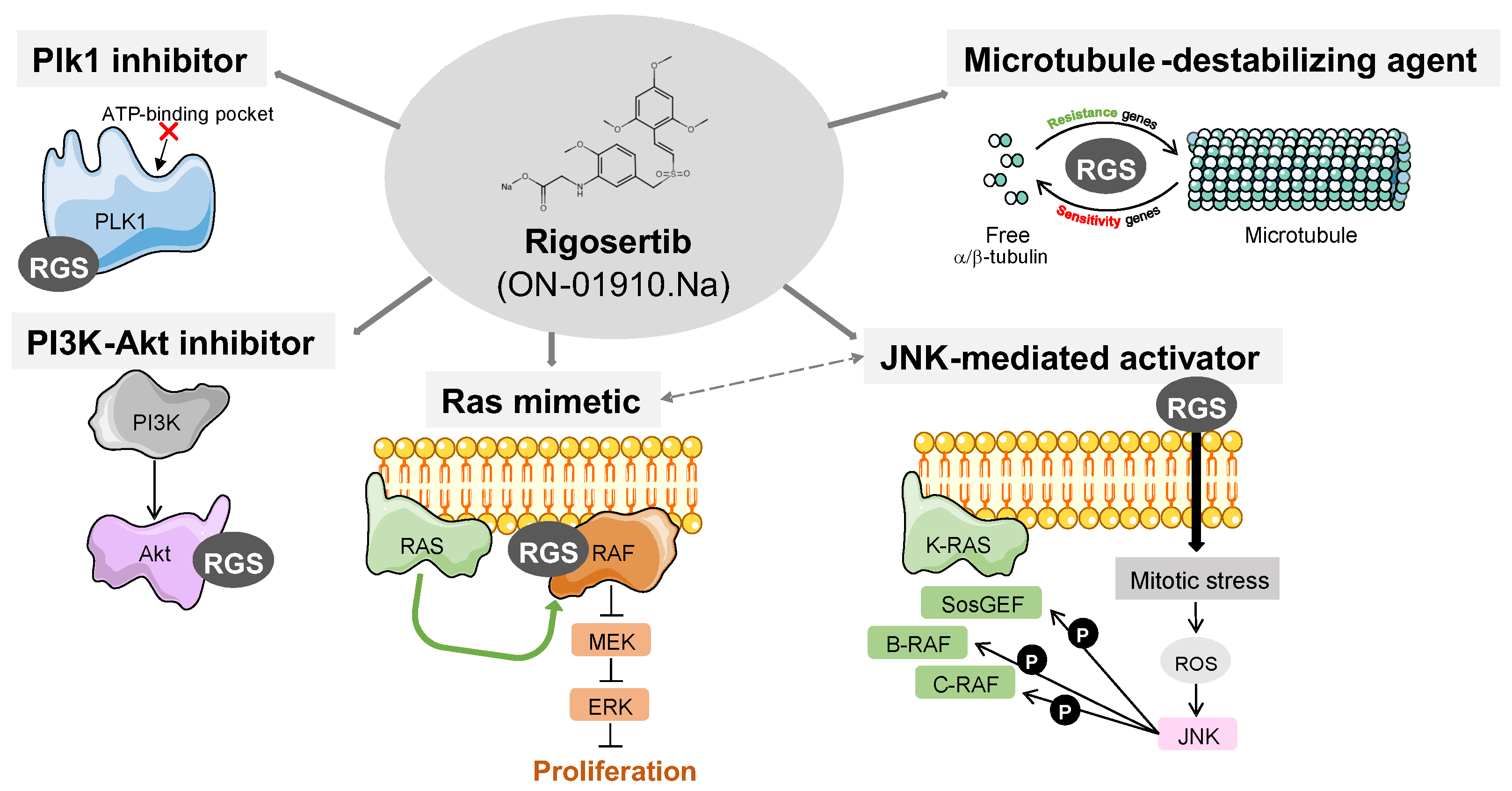 Pharmaceutics 15 01232 g002 Pharmaceutics 15 01232 g002