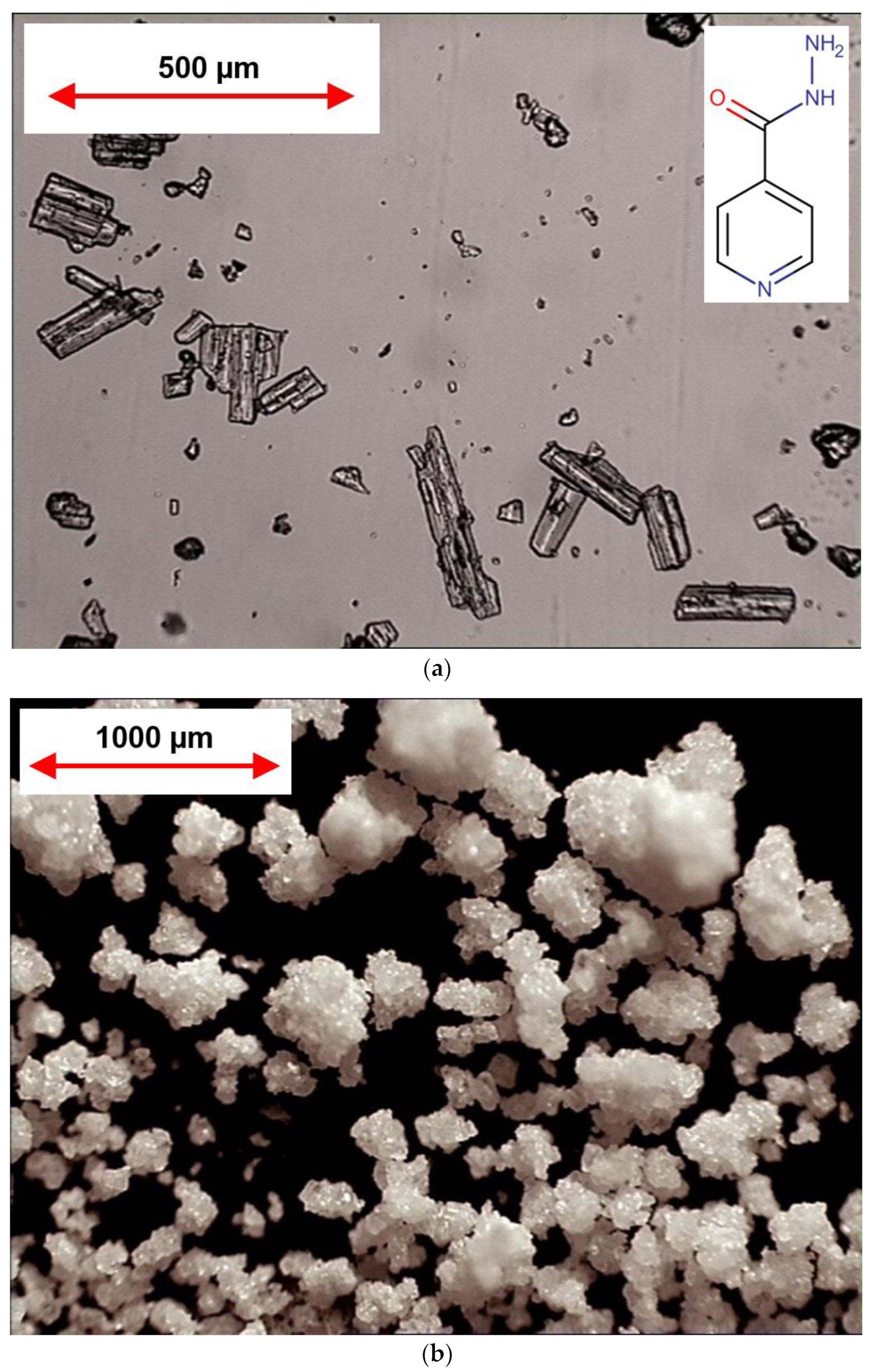 Pharmaceutics 15 01236 g003