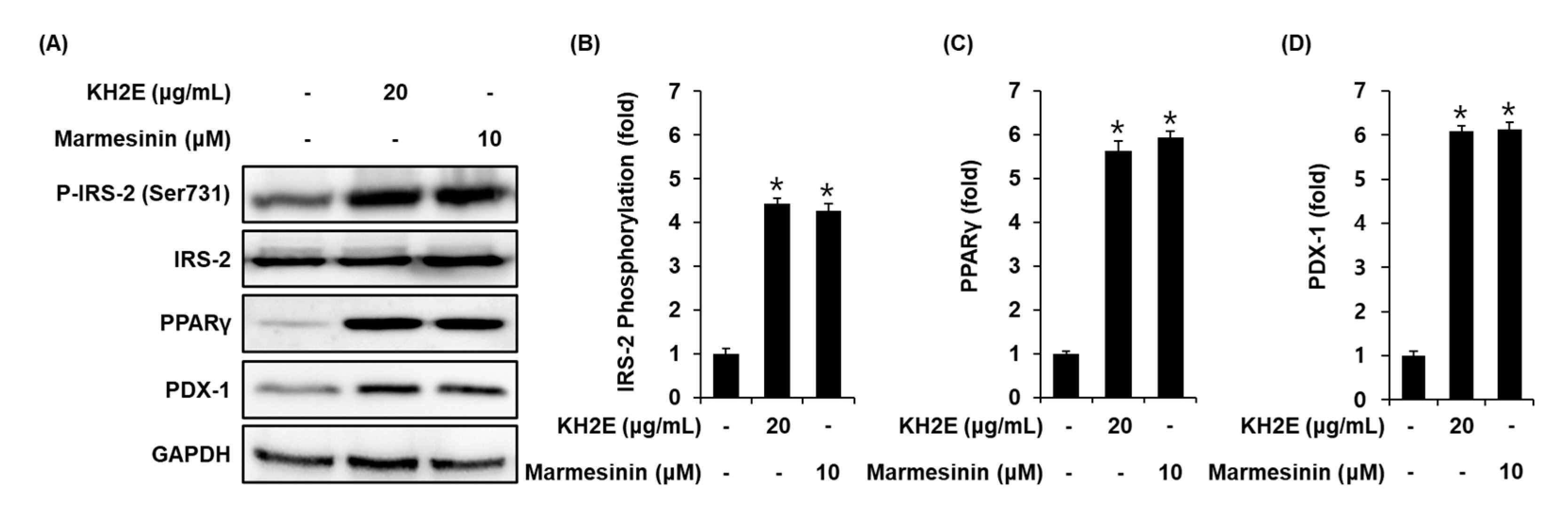 Pharmaceutics 15 01239 g007 Pharmaceutics 15 01239 g007