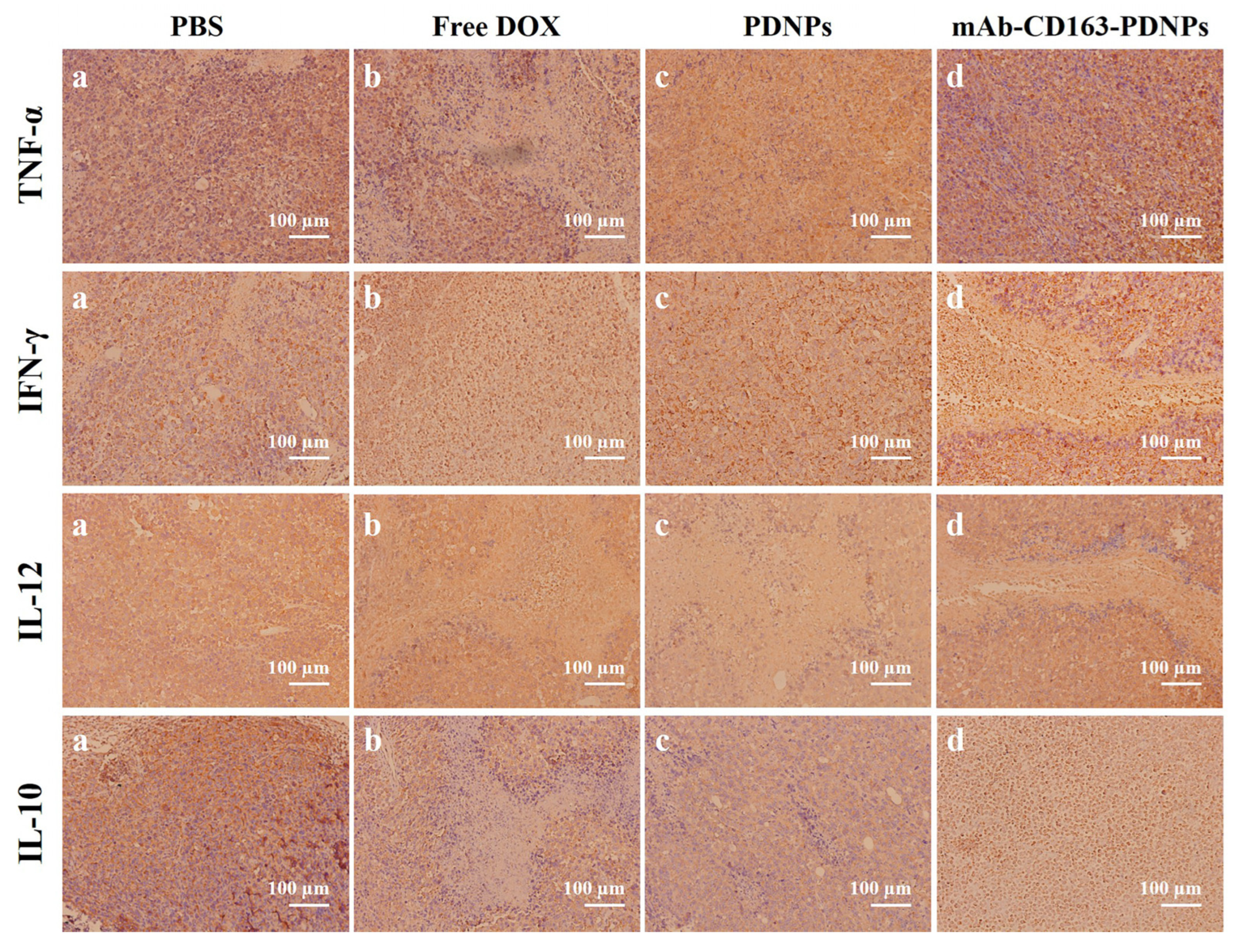 Pharmaceutics 15 01241 g009 Pharmaceutics 15 01241 g009